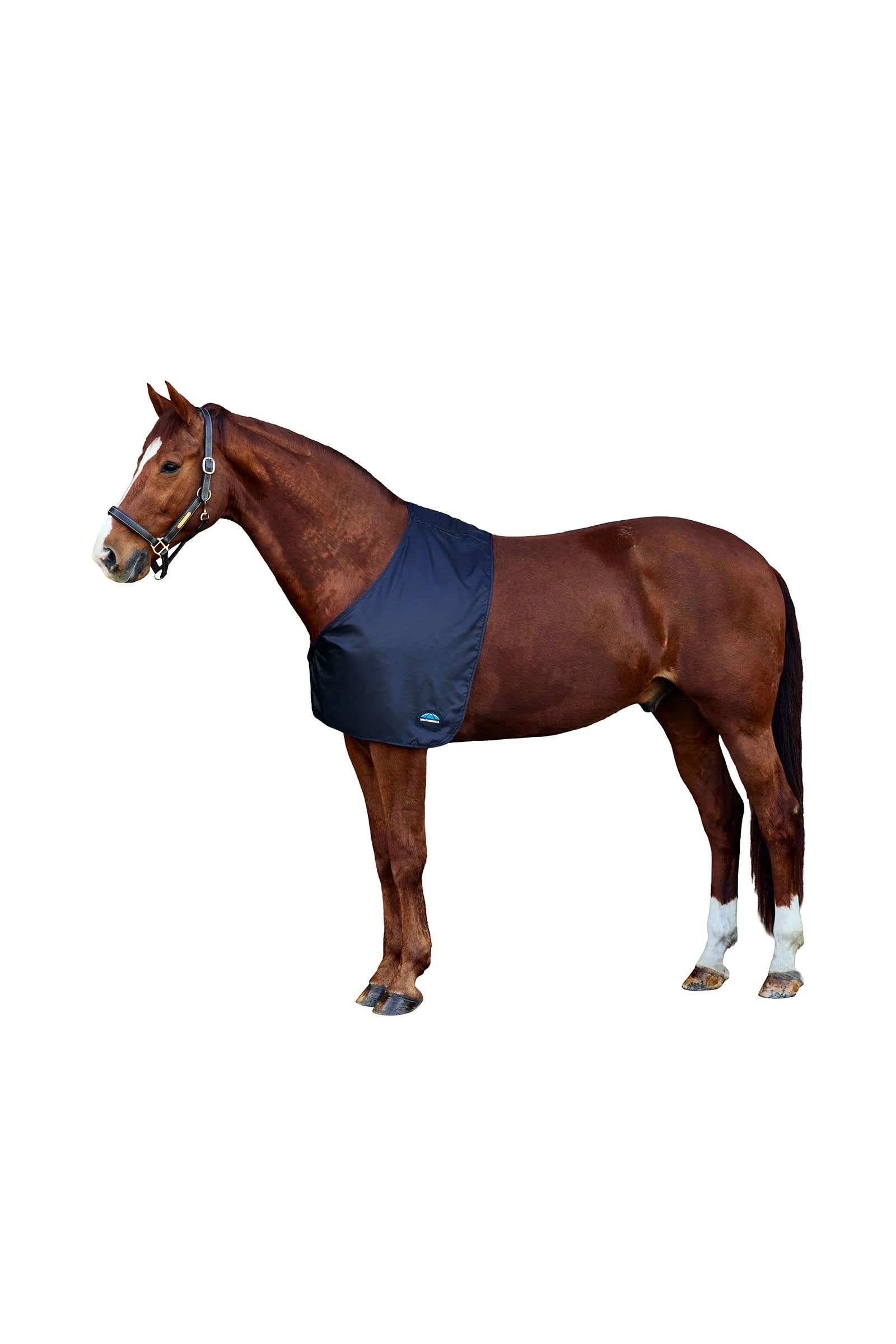 Weatherbeeta Satin Shoulder Guard Horse Rugs