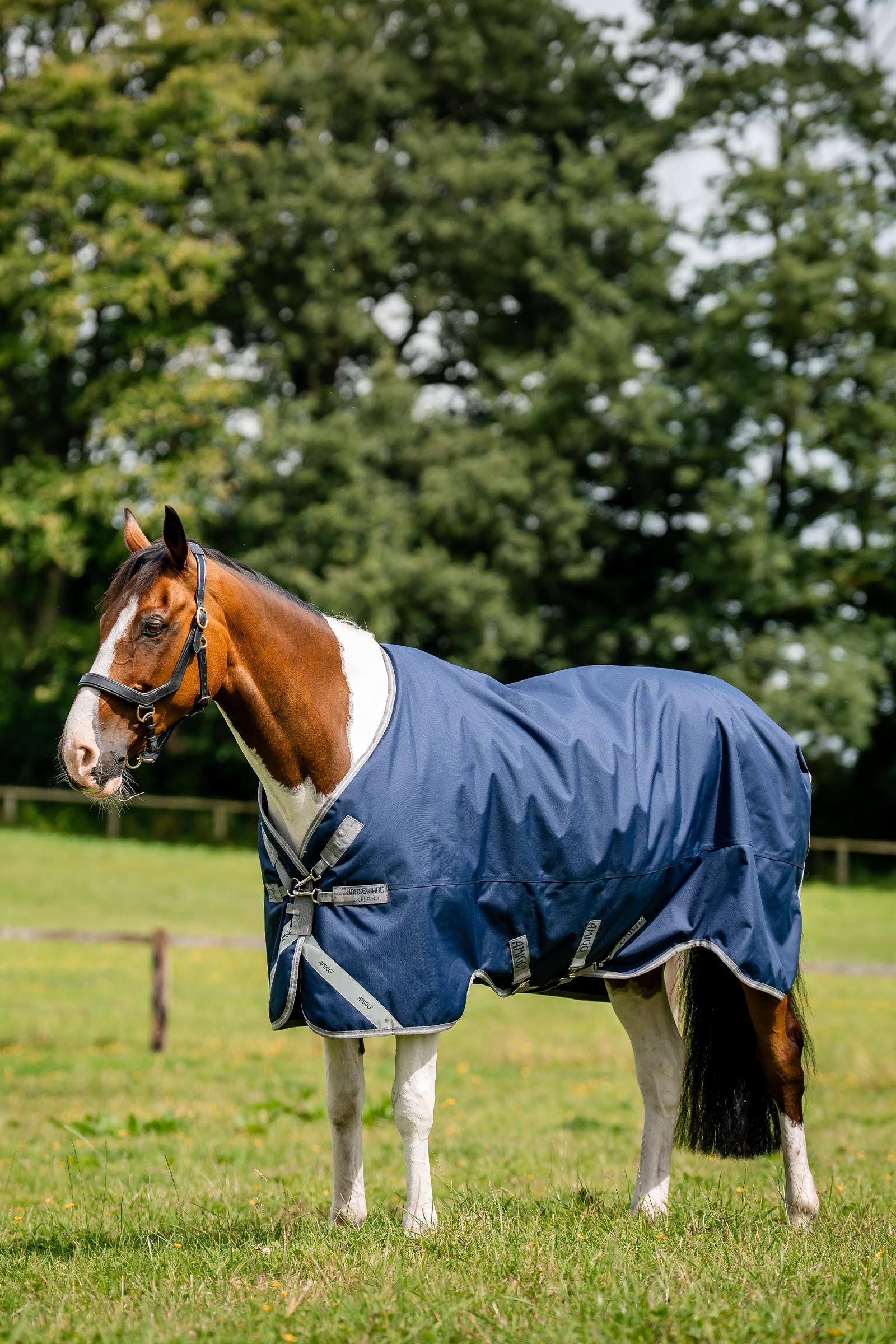 Horseware Amigo 1200D XL Turnout 150 g Horse Rugs
