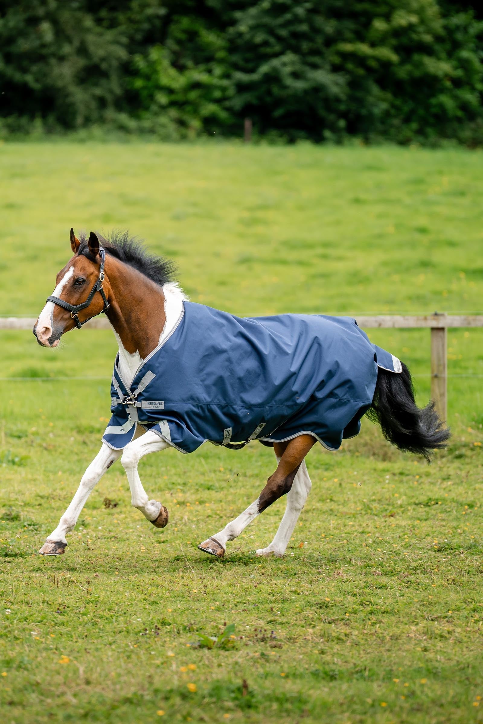 Horseware Amigo 1200D XL Turnout 150 g Horse Rugs