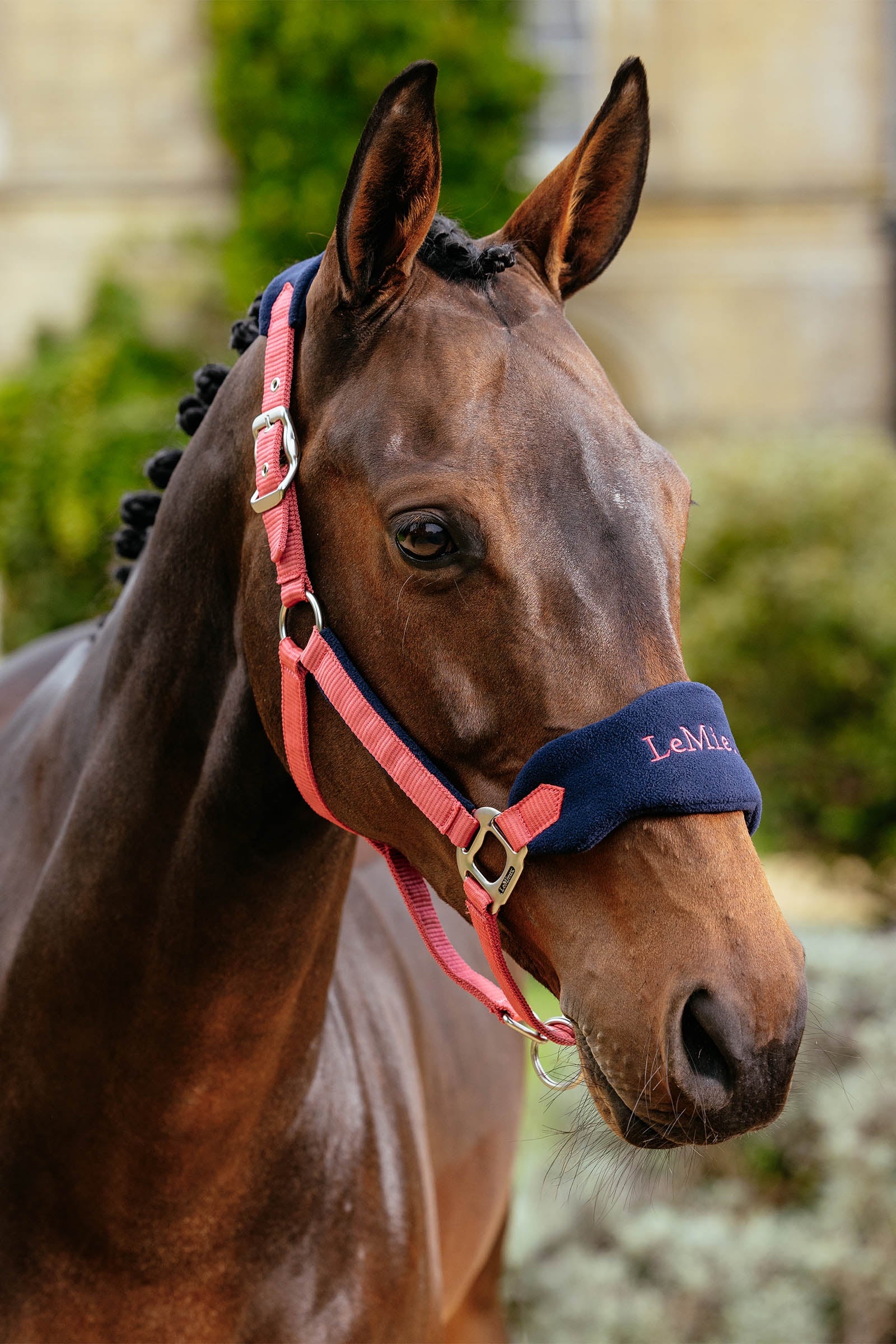 LeMieux Vogue Headcollar & Lead Rope Set Halters & Leads