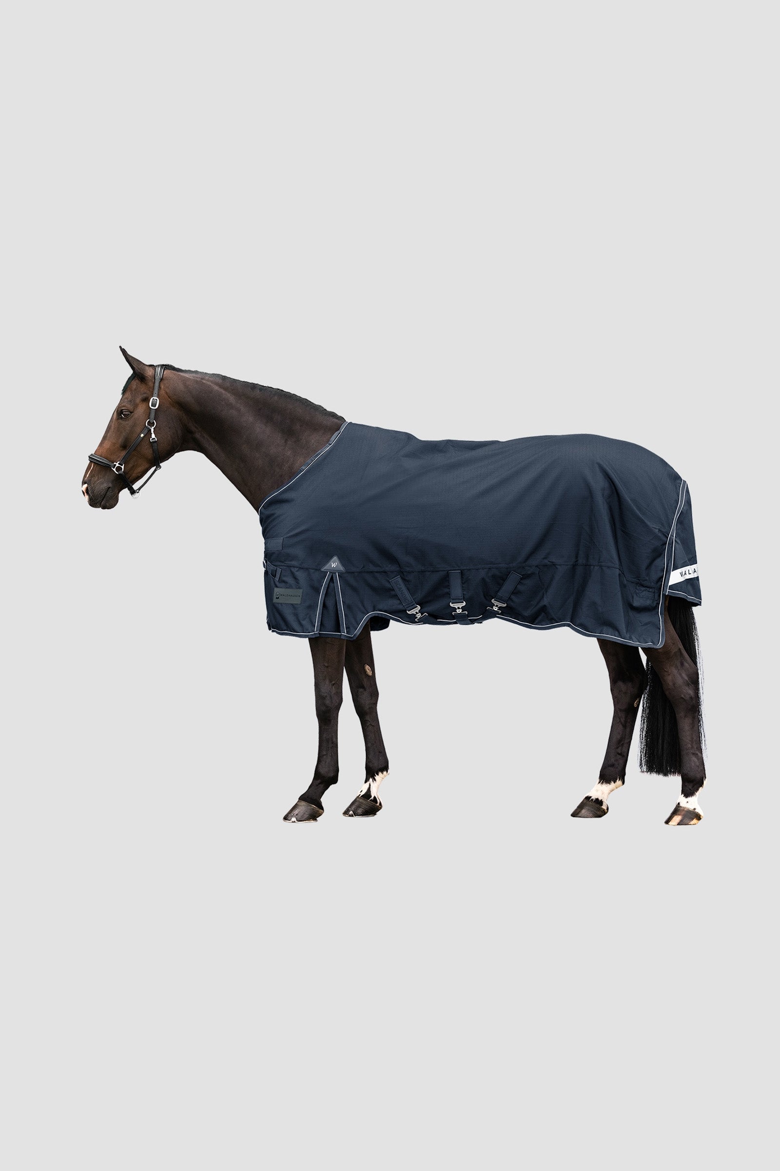 Waldhausen Outdoor Rug Scandic 100g Pferdedecken