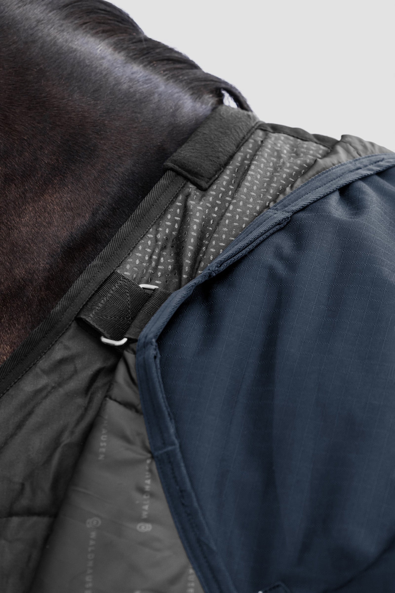 Waldhausen Outdoor Rug Scandic 100g Horse Rugs