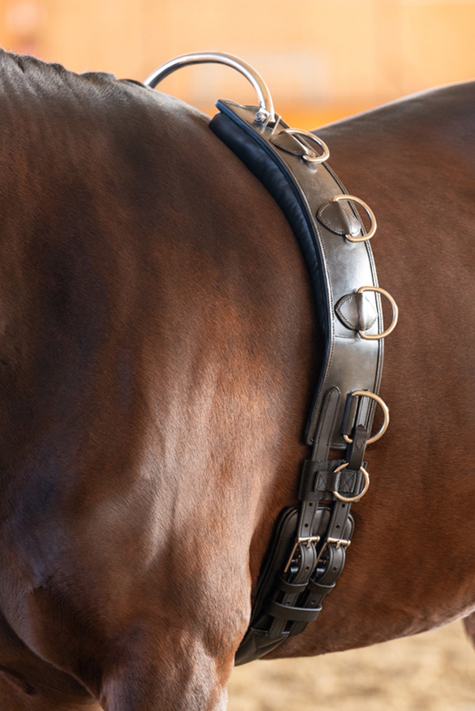 Kavalkade Leder-Longegurt mit Rahmen Sättel & Sattelgurte