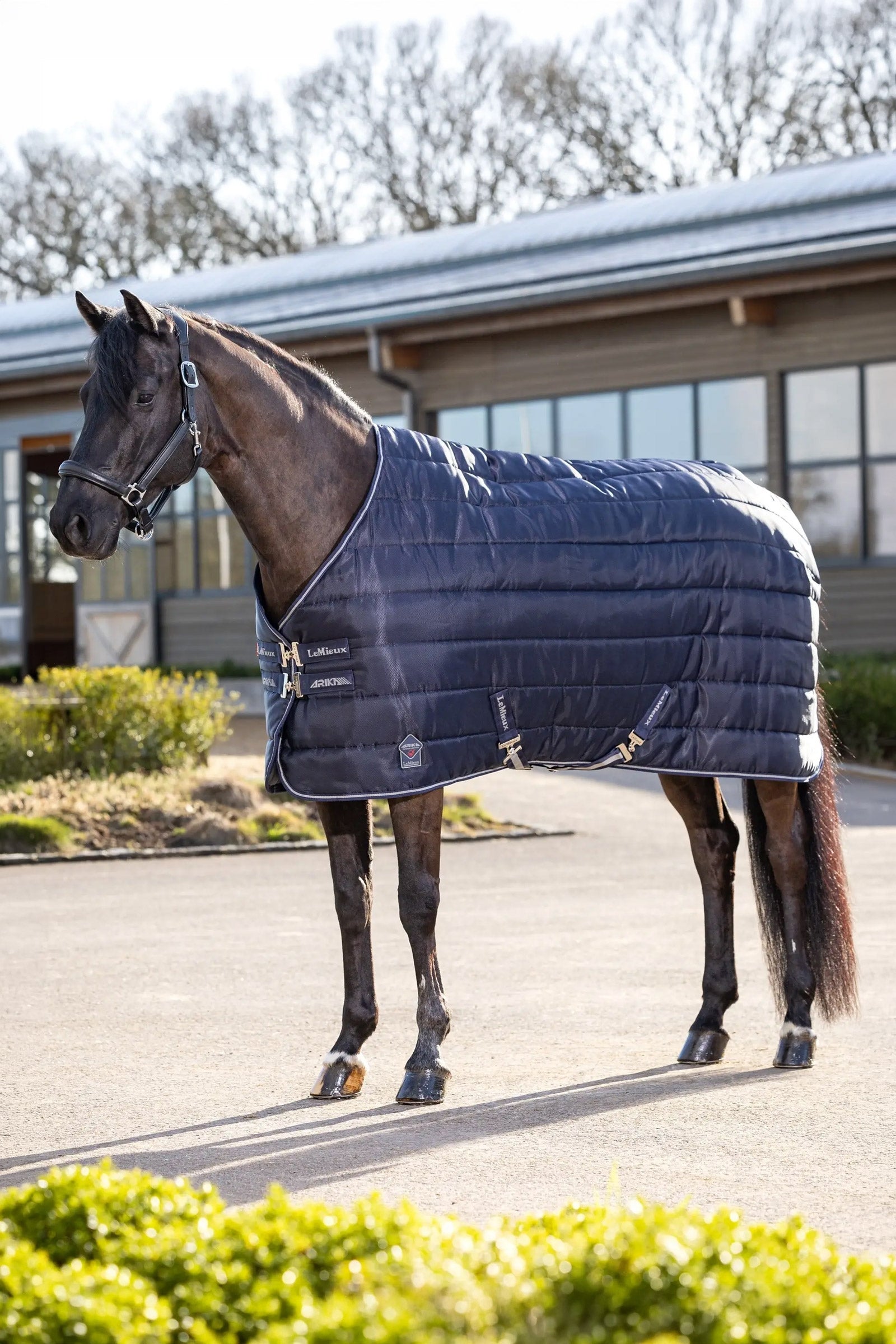 LeMieux Arika Stable-Tek Stable Rug, 350 g Pferdedecken