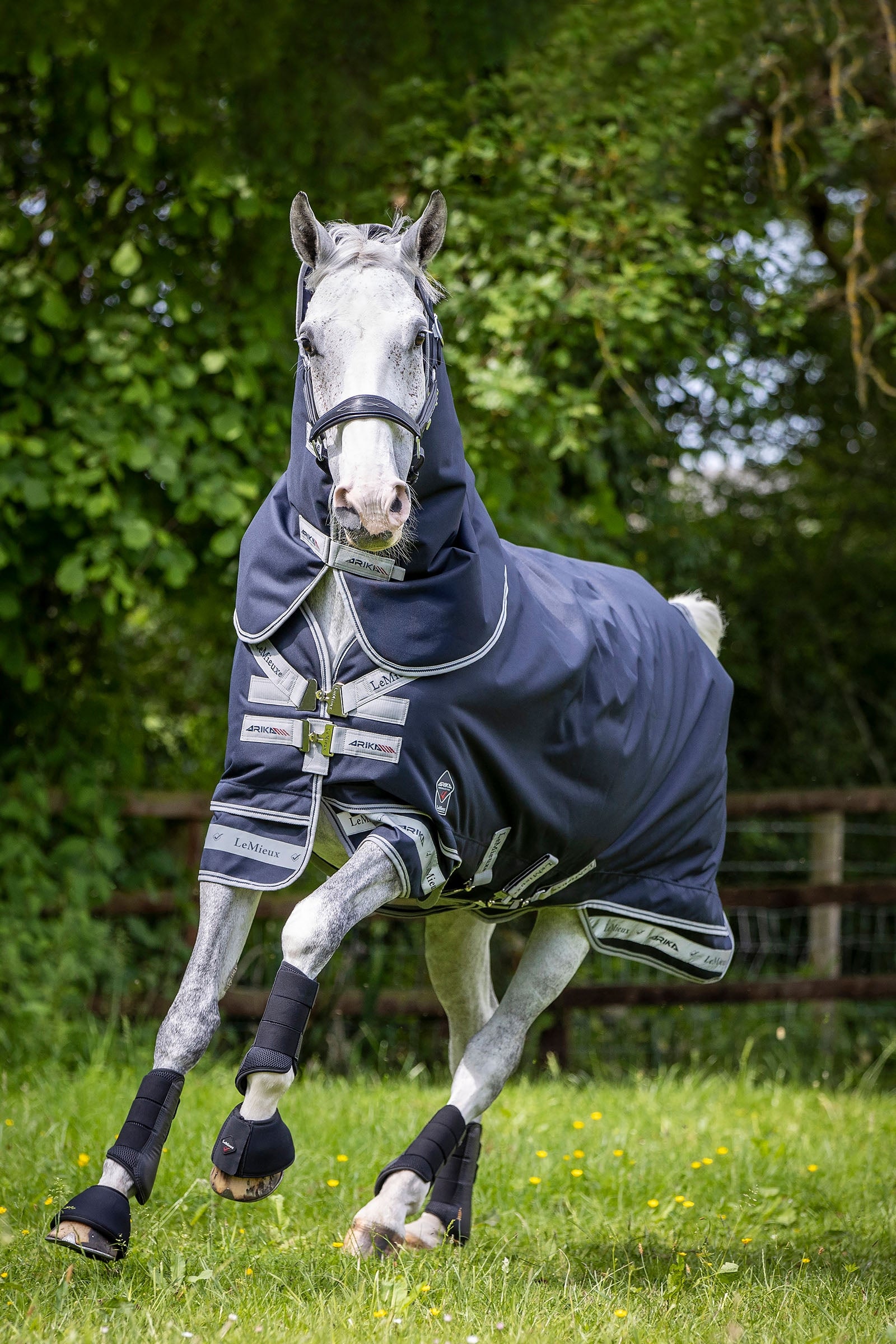 Masque Anti Mouche Cheval Harrison Howard Masque Anti Mouche Cheval Harrison Howard