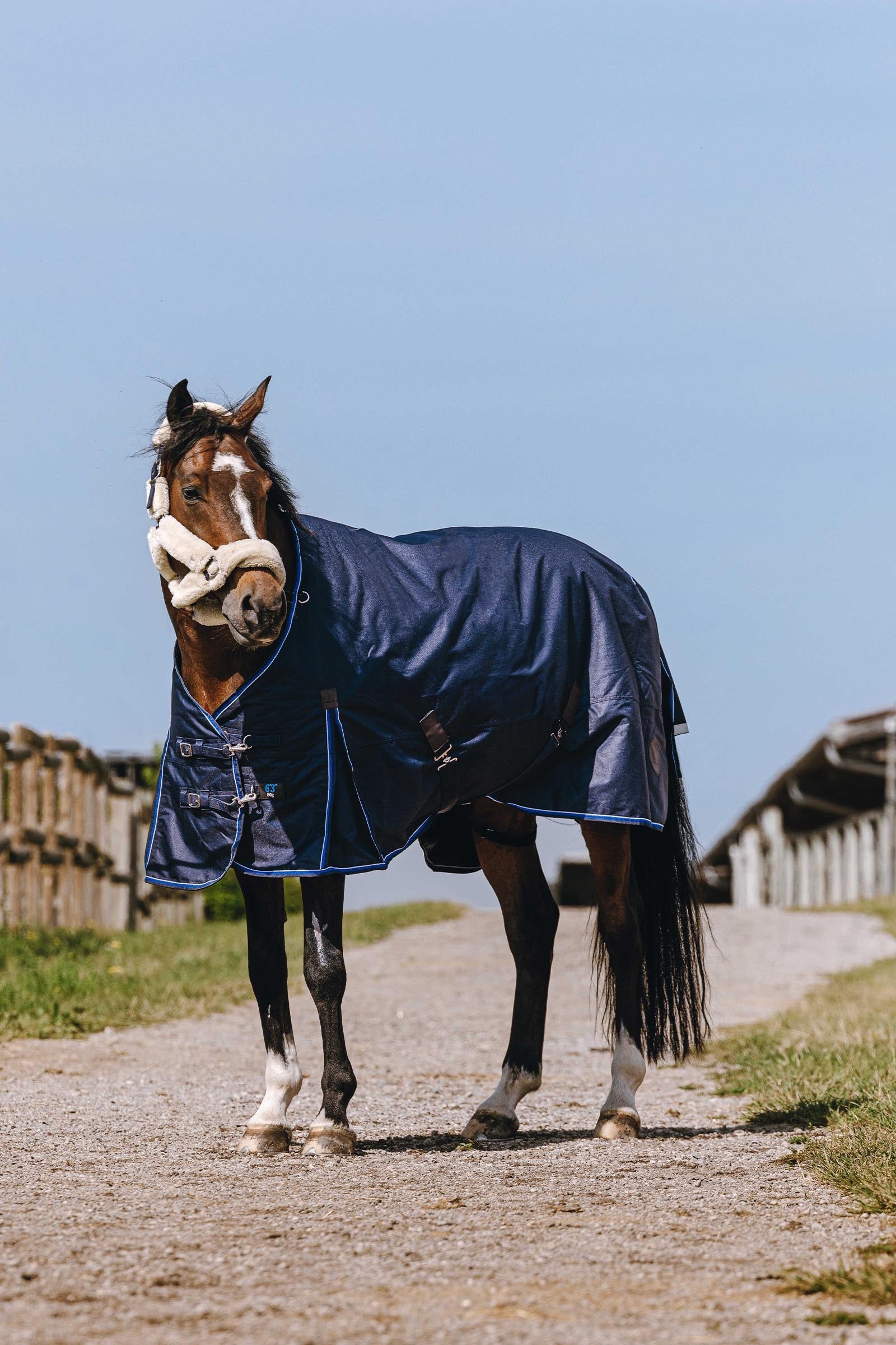 Equi Theme EQUITHÈME Classic 1200D High Neck Rug, 0 g Horse Rugs