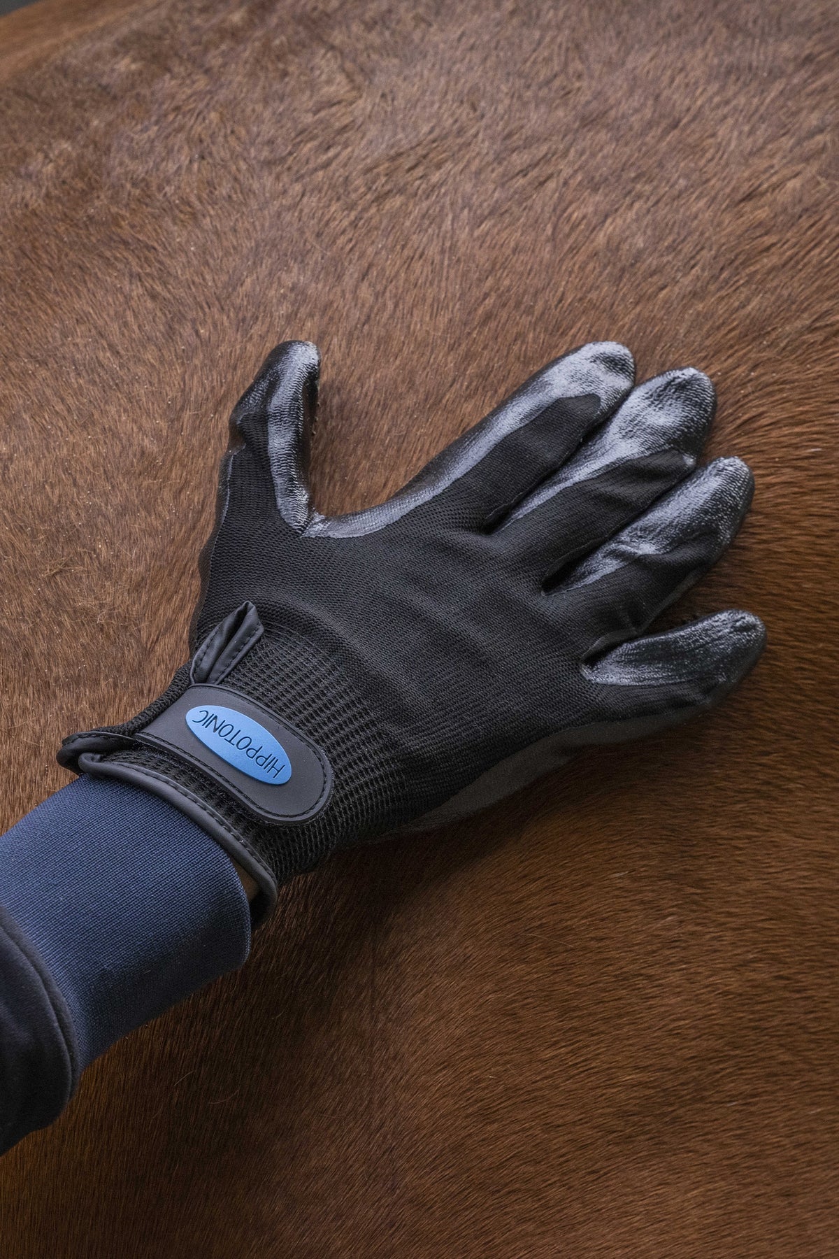 HIPPOTONIC Anti-Shedding Grooming Glove Horse Grooming Tools