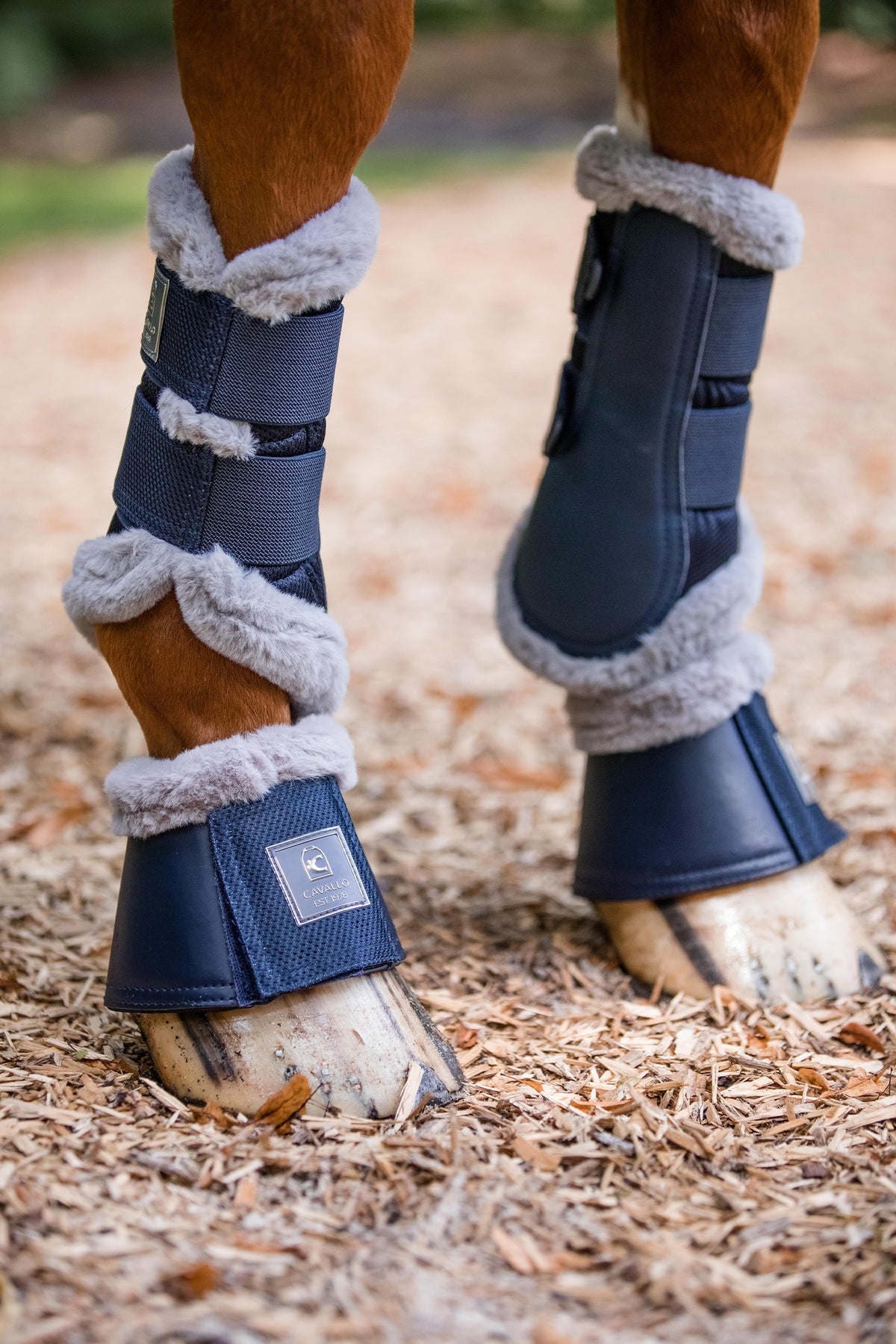 Cavallo CAVALJOCA Brushing Boots Leg & Hoof Protection