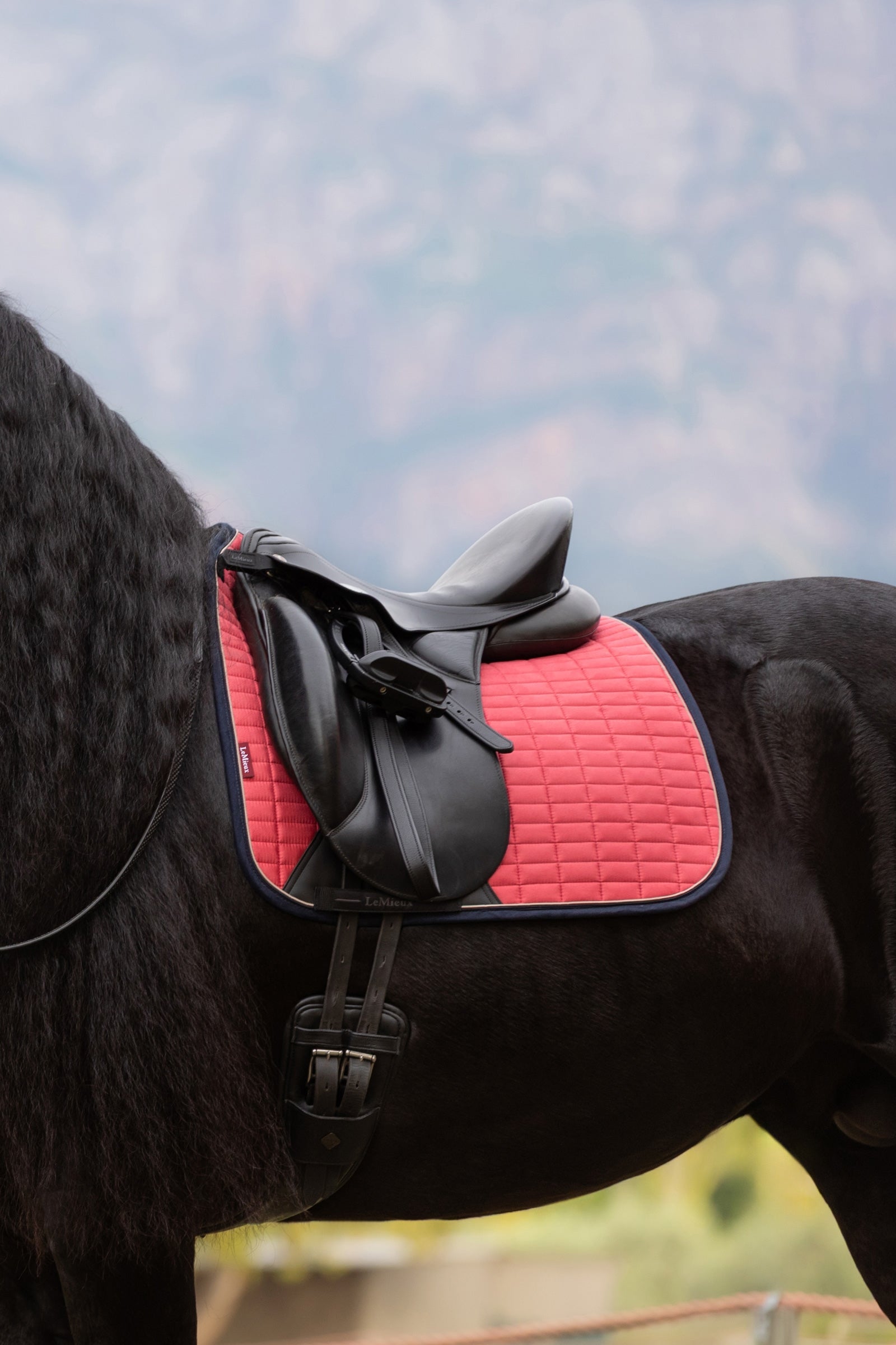 LeMieux Suede Square Dressage Saddle Pad Saddle Pads