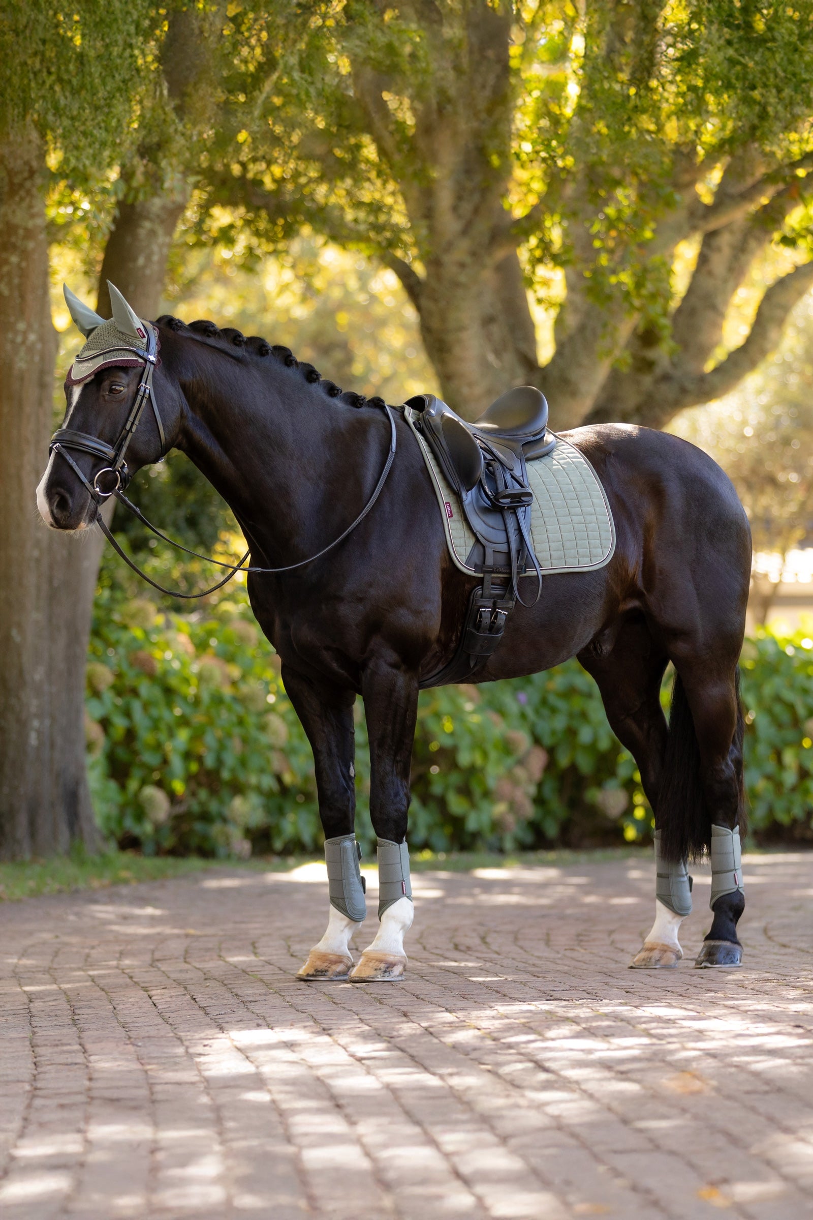 LeMieux Suede Square Dressage Saddle Pad Saddle Pads