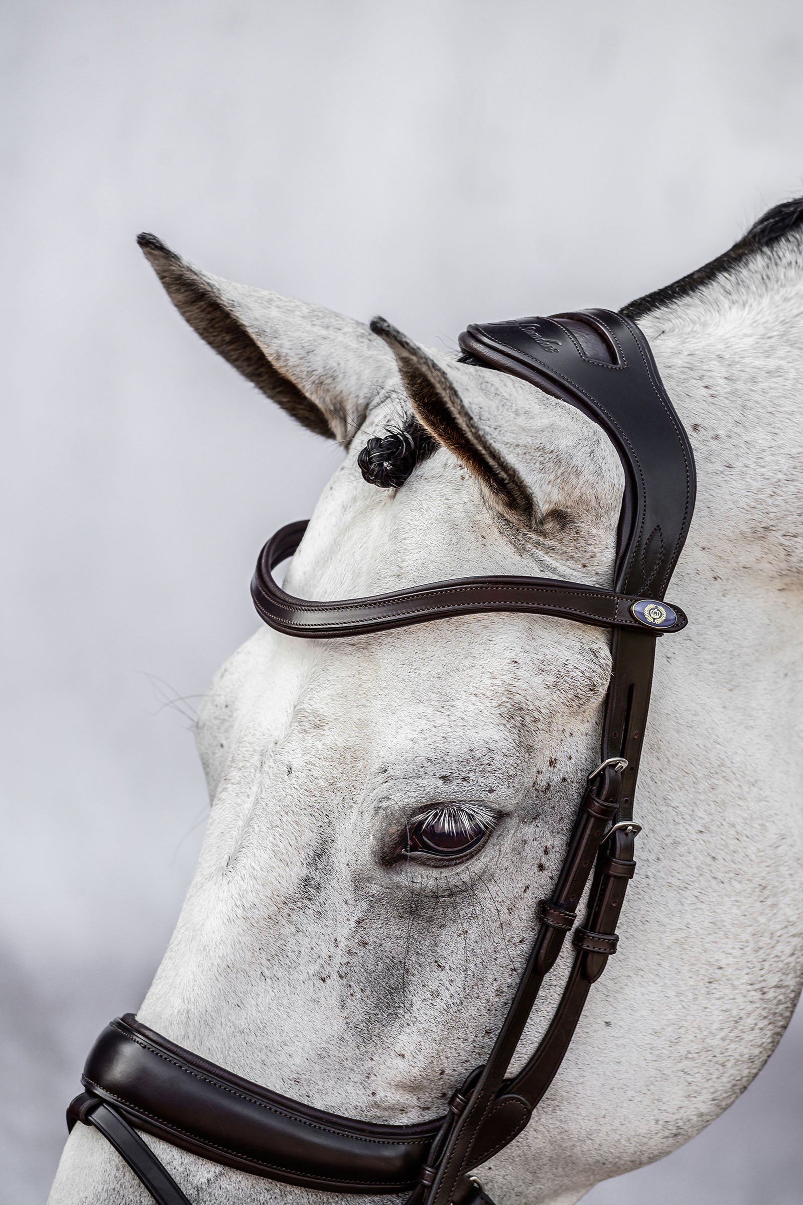 PS of Sweden bridle Paladin Bridles & Reins