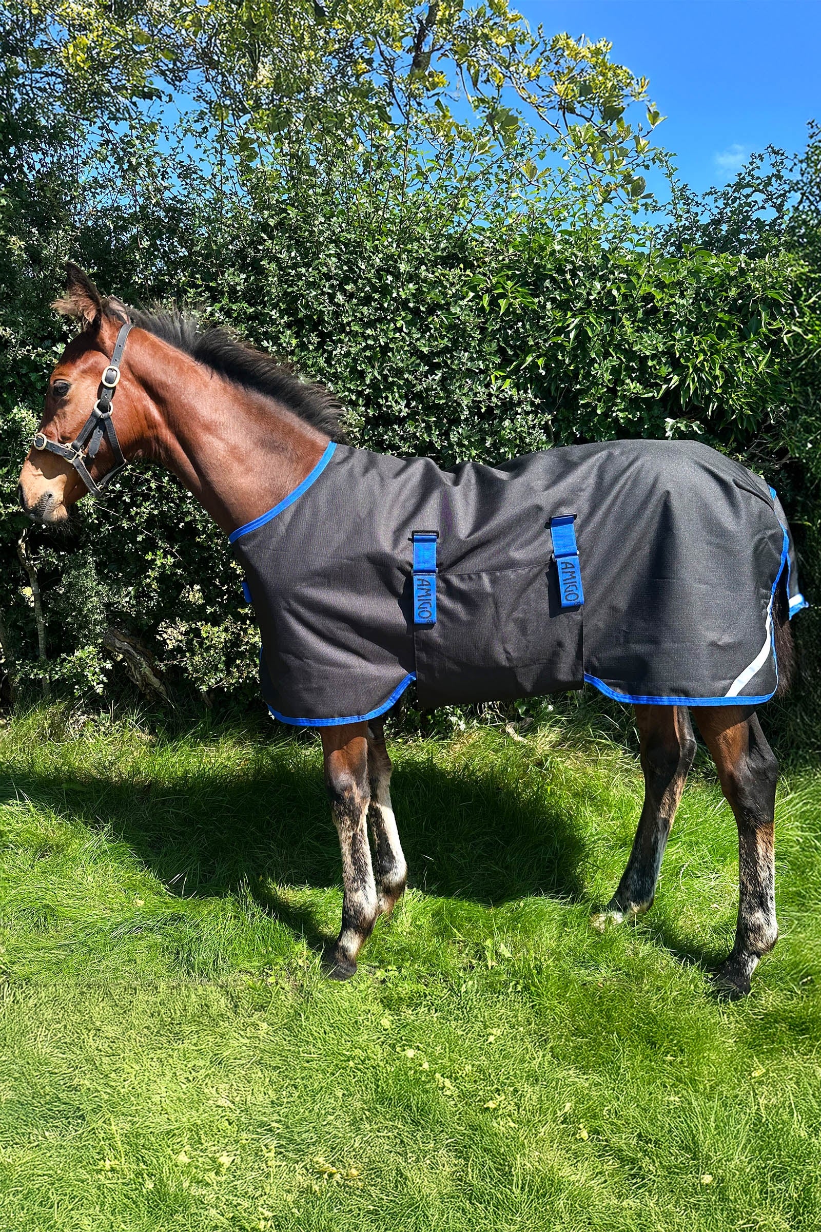 Horseware Amigo Ripstop 900D Weidedecke für Fohlen 200g Pferdedecken