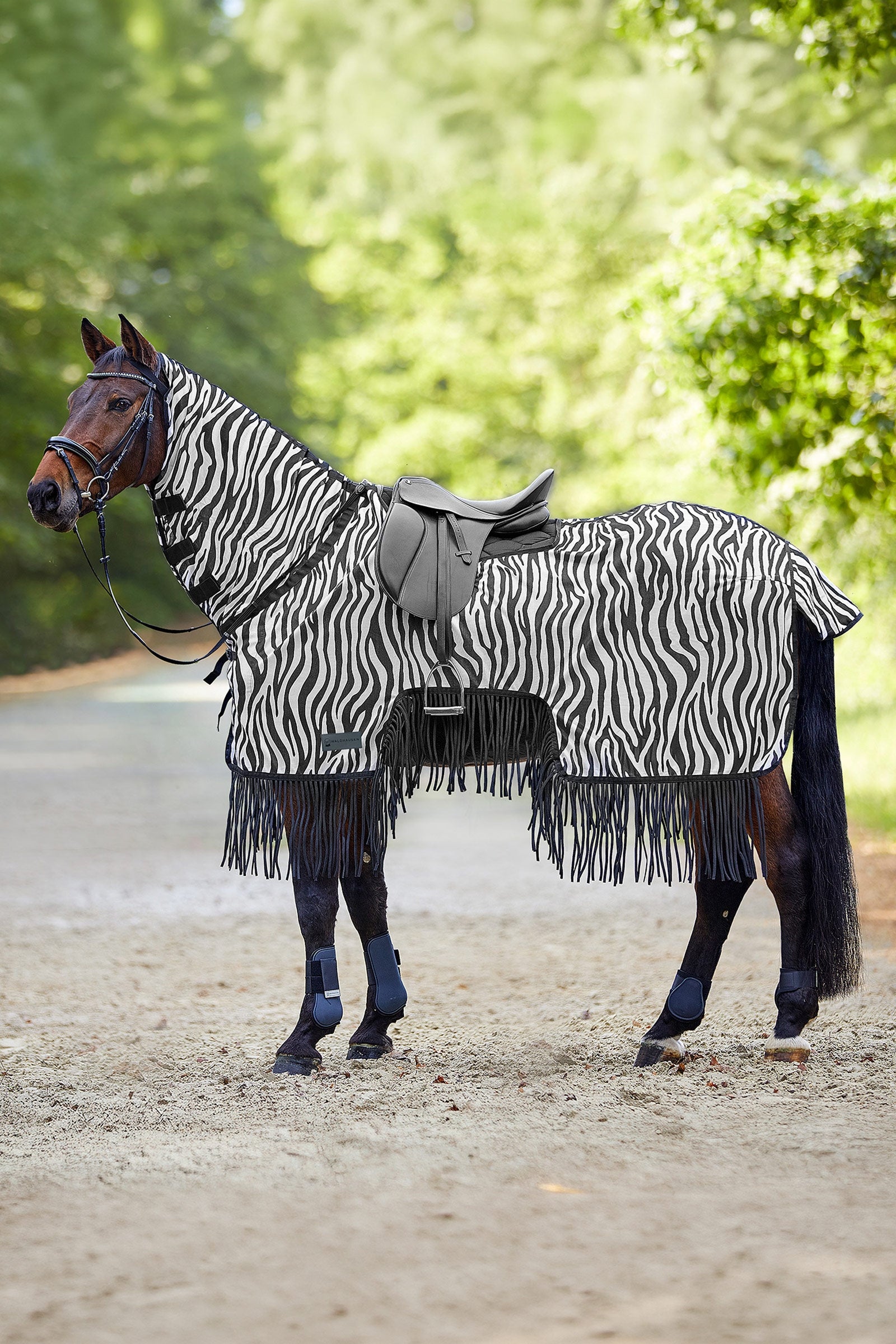 Waldhausen Zebra Fliegendecke mit Sattelausschnitt und Fransen, UV-Schutz Pferdedecken