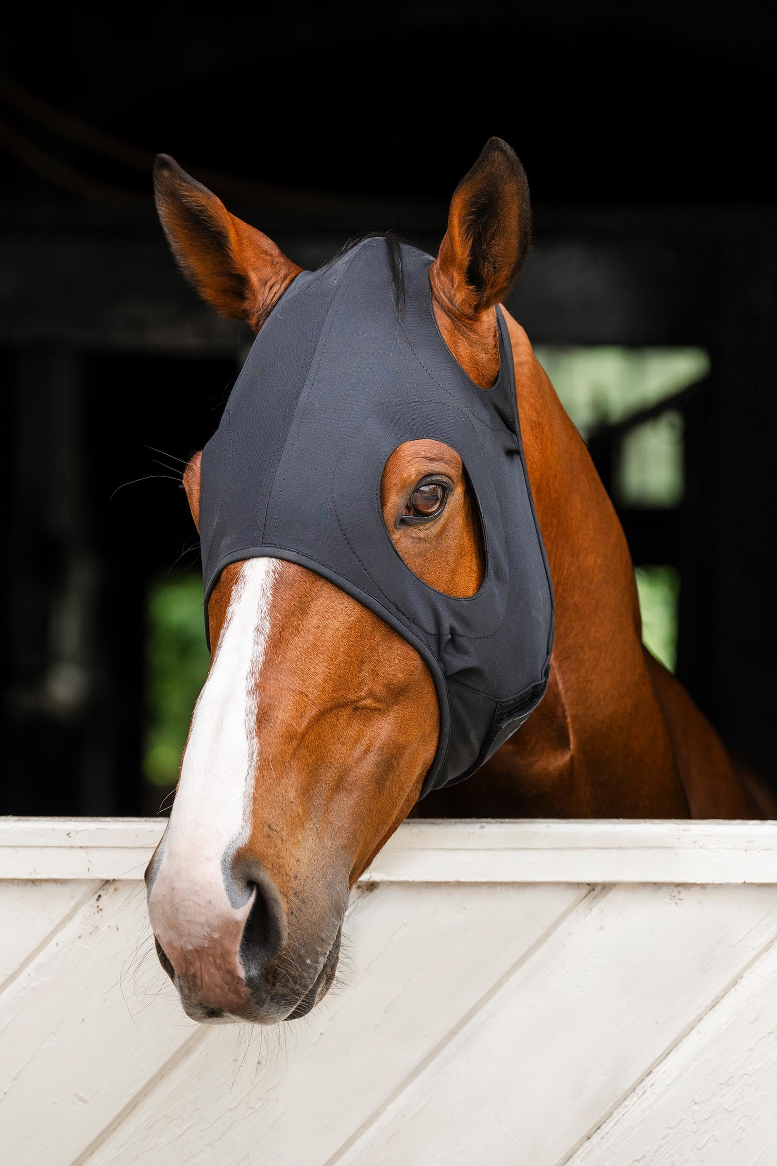 Horseware Ionic beruhigende Gesichtsmaske Fliegenschutz