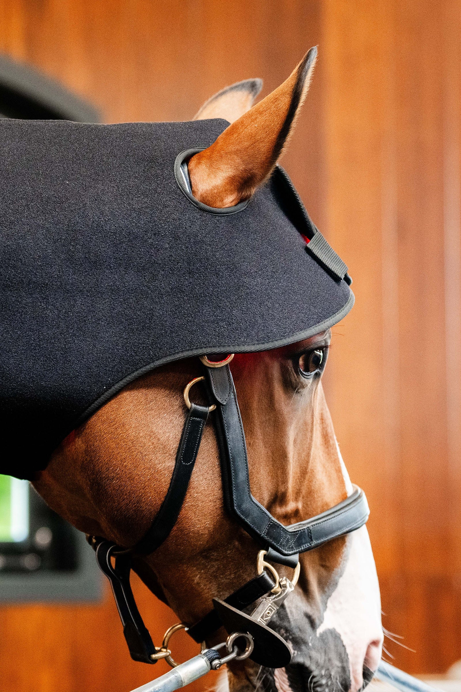 Horseware LED Red Light Therapy Poll Cap Horse Rugs