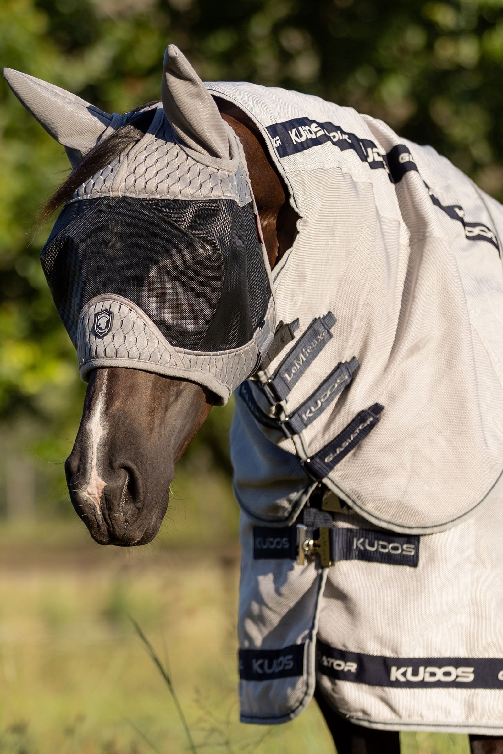 LeMieux Gladiator Half Fly Mask Antifly Protection for Horses