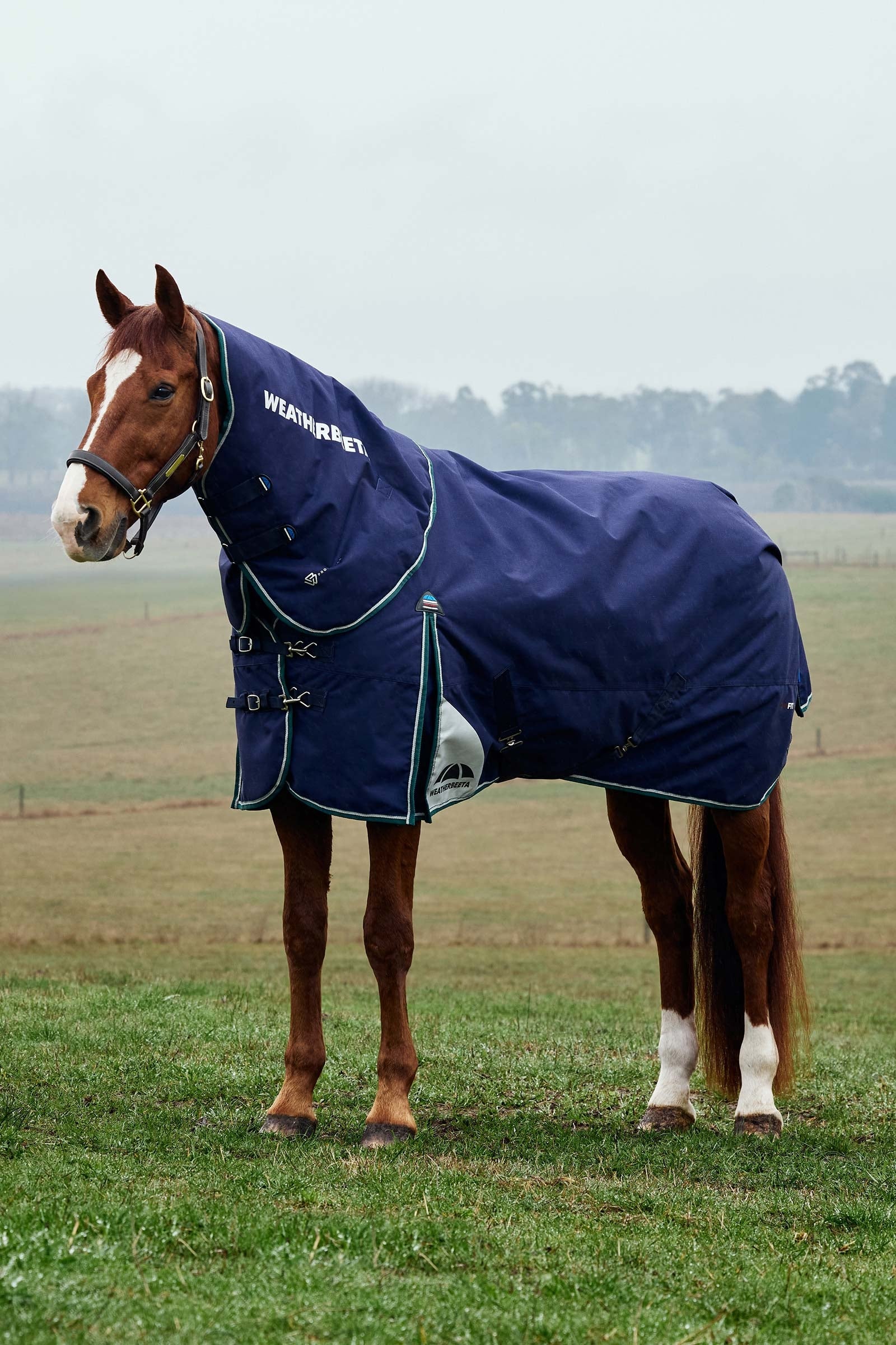 Weatherbeeta ComFiTecPlus Dynamic Turnout Detach-A-Neck 220G Pferdedecken