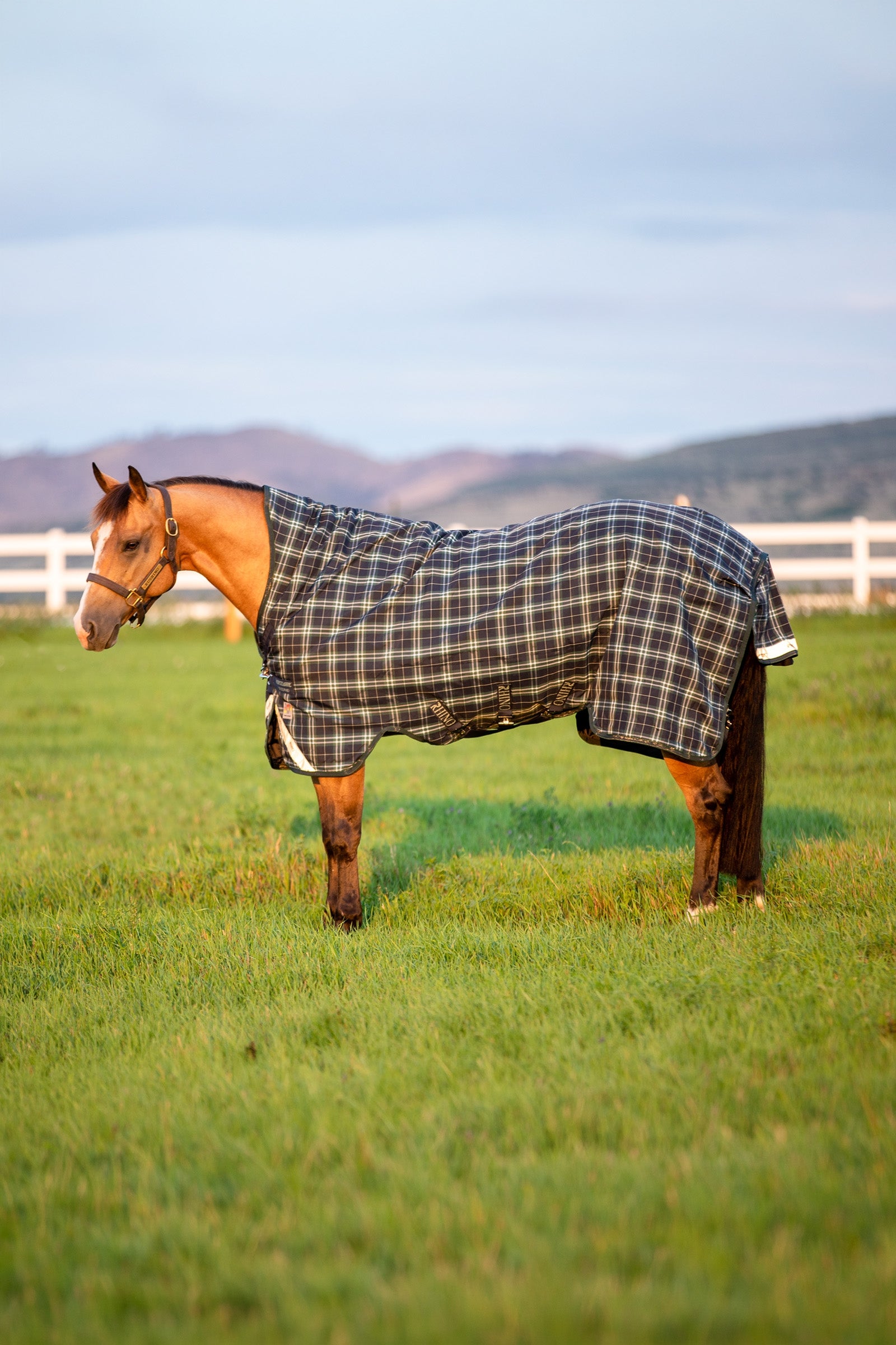 Horseware Rhino Wug Vari-Layer Turnout Rug with High Neck, 250g Horse Rugs