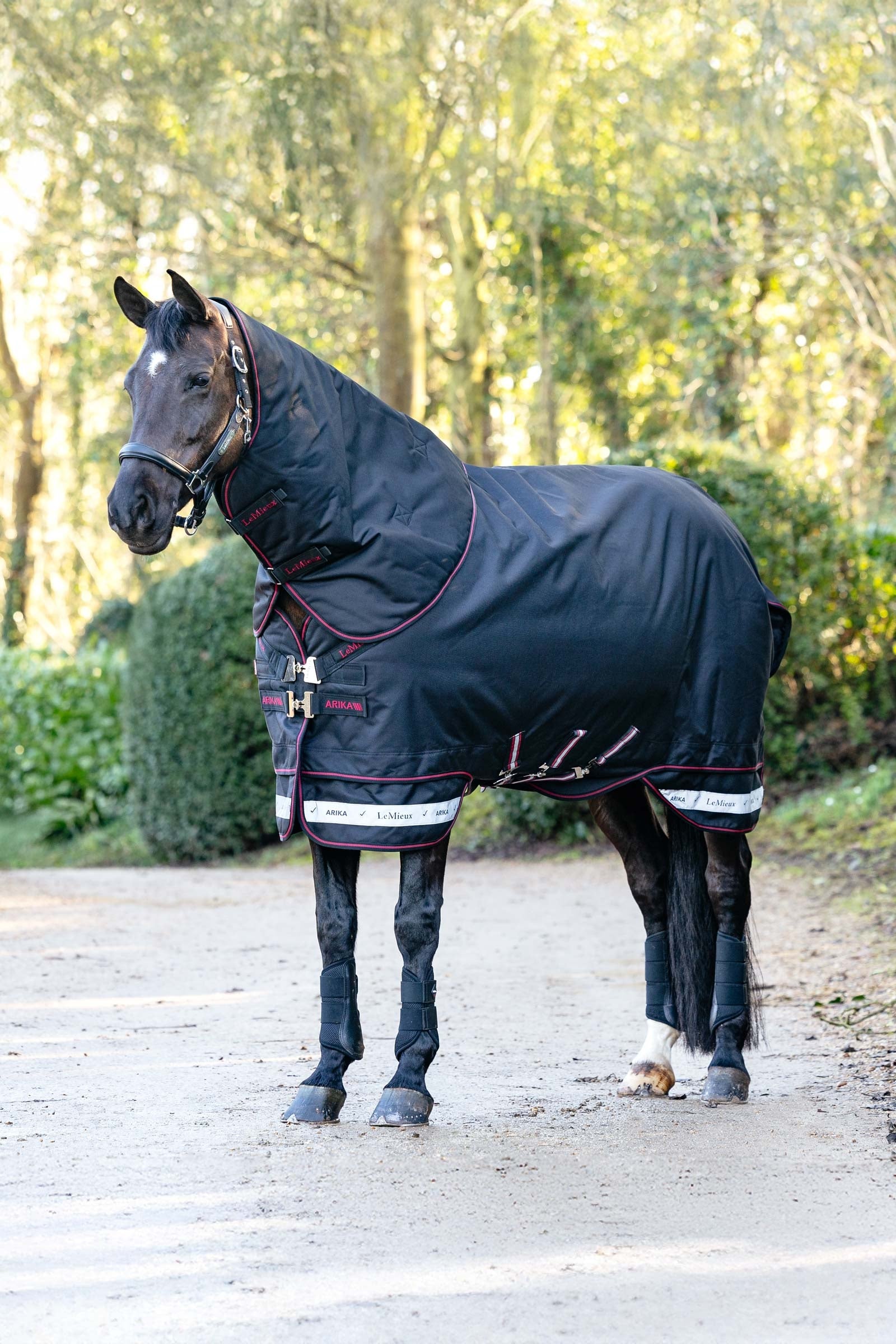 LeMieux Arika Storm-Tek Weidedecke mit abnehmbarem Halsstück, 200 g Pferdedecken