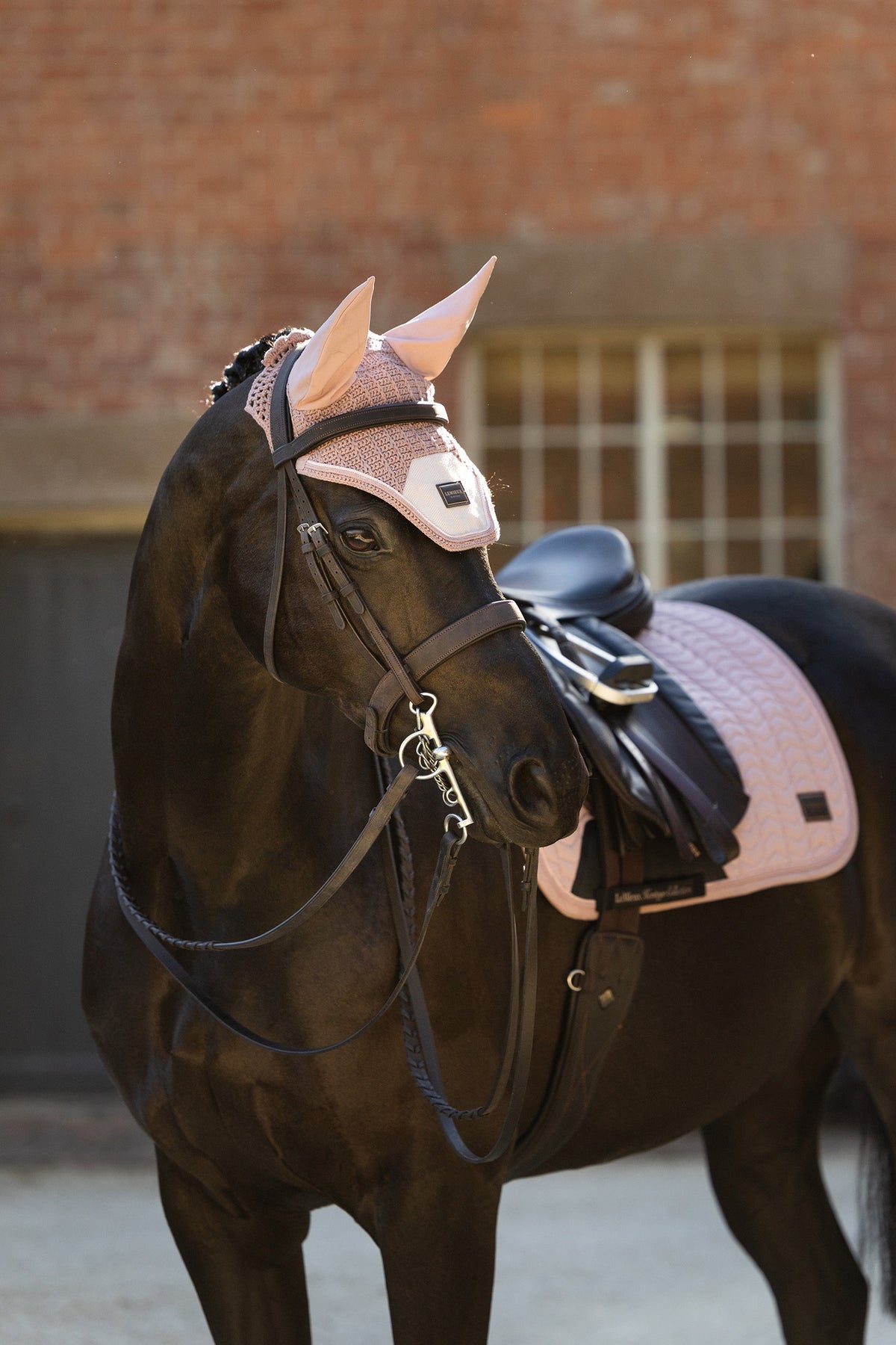 LeMieux Heritage Fly Hood Saddle Pads