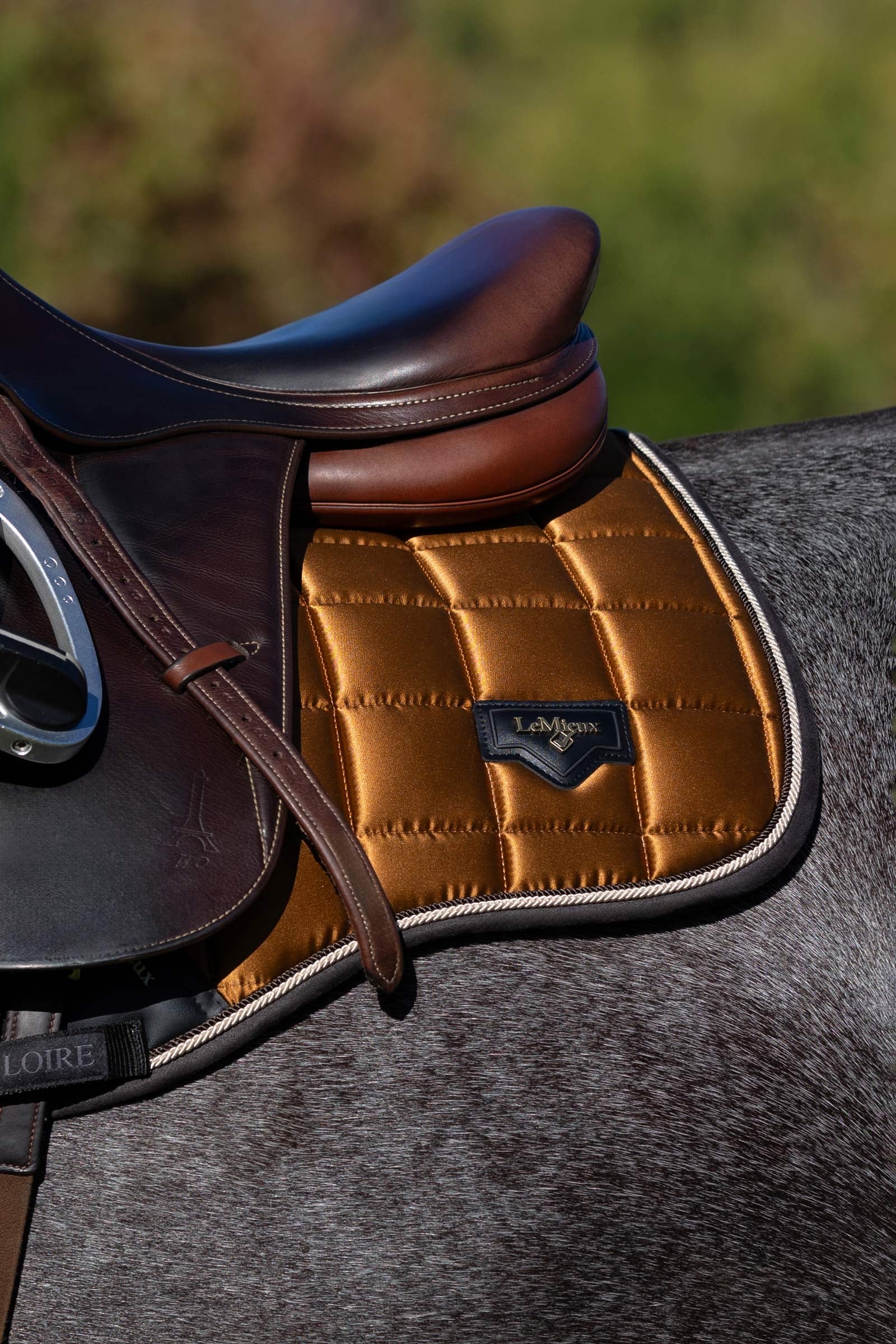 LeMieux Loire Classic Square All Purpose Saddle Pad Saddle Pads