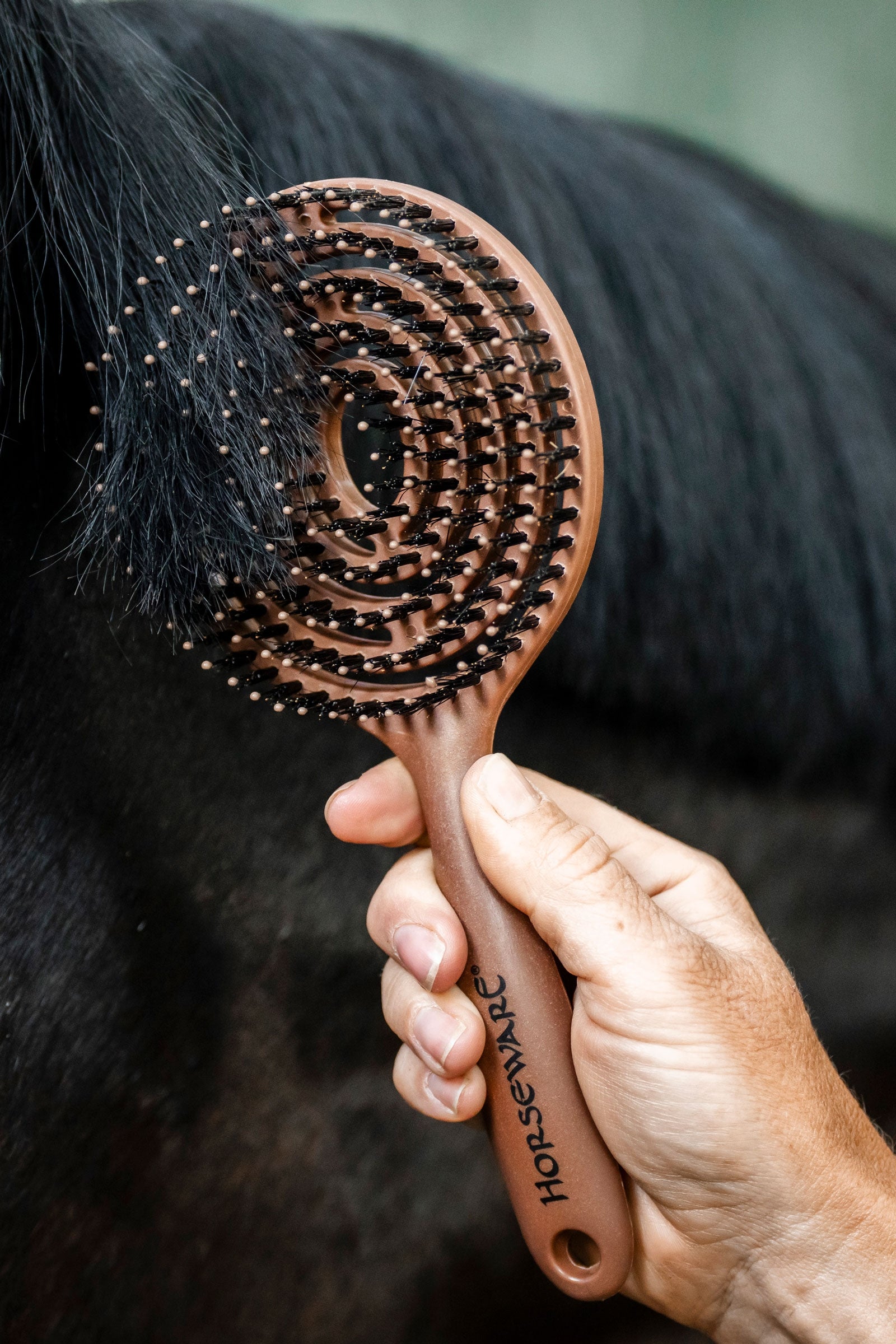 Horseware Mähnen- und Schweifbürste Pferde Putzzeug