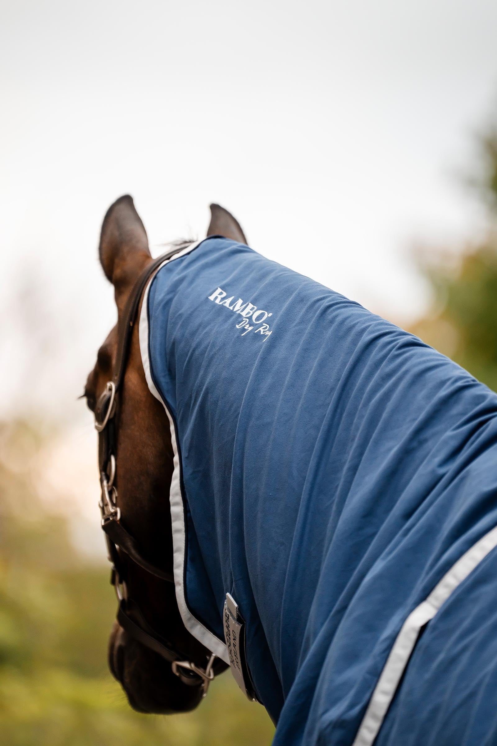 Horseware Rambo Dry Rug Supreme Horse Rugs