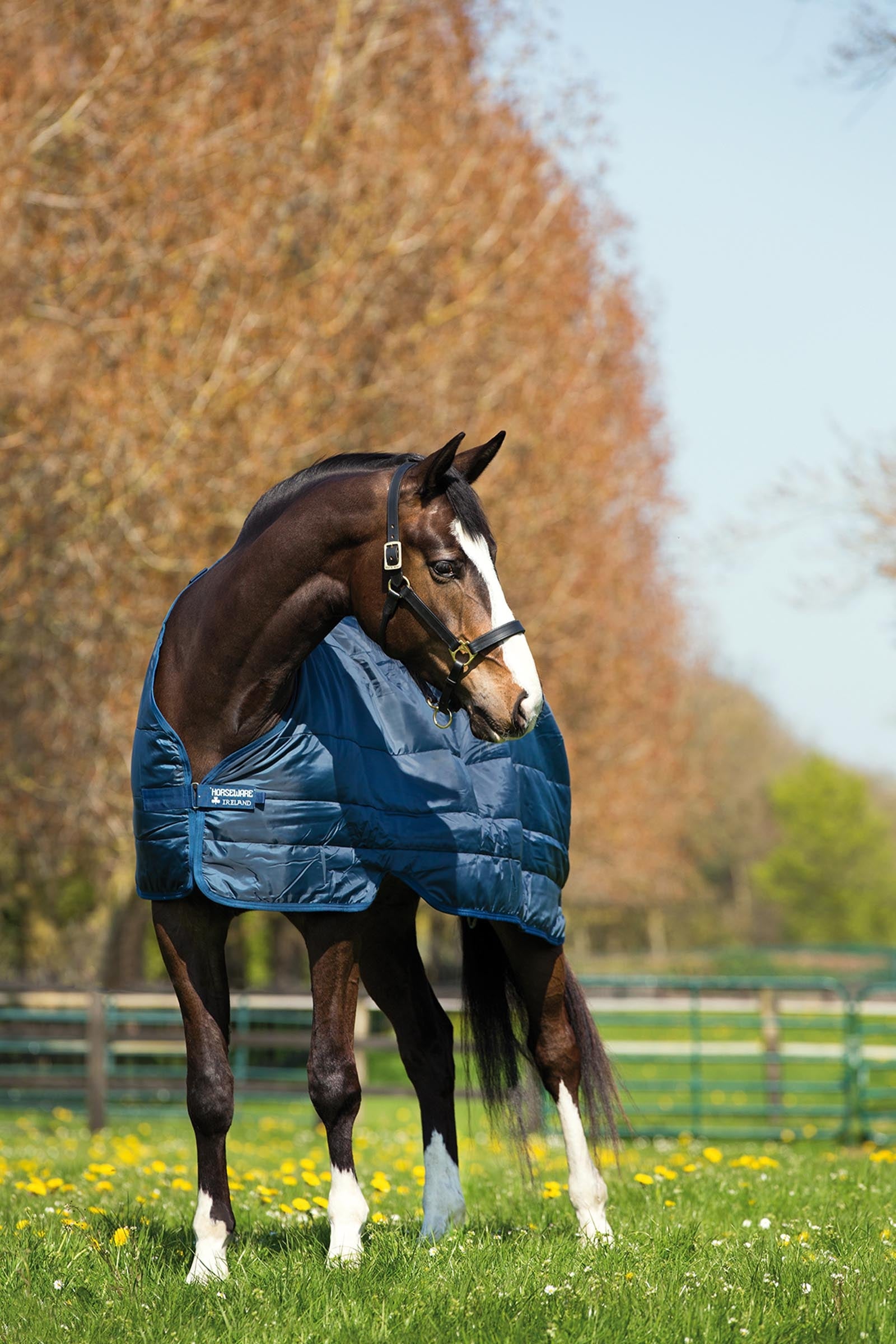 Horseware Liner 300g Horse Rugs