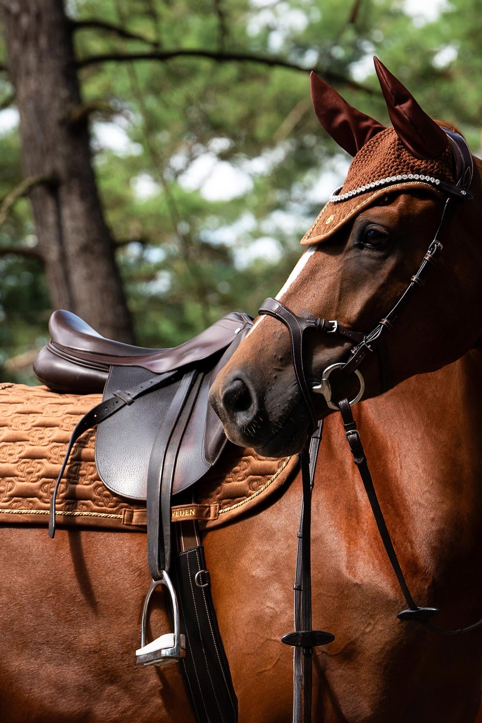 PS of Sweden Saddle Pad Velvet Monogram Jump Saddle Pads