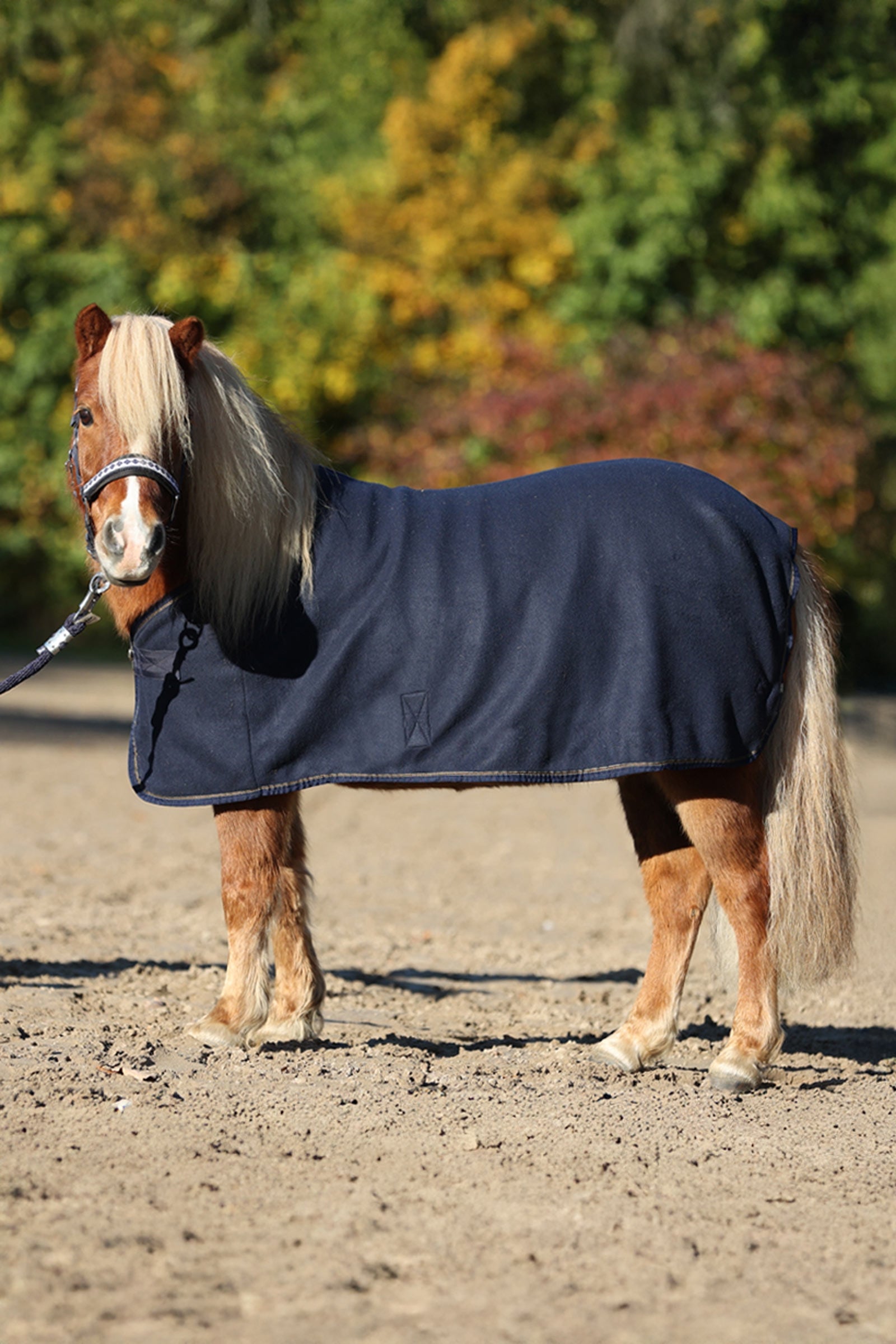 Kavalkade Ecoline Shetty Fleece Decke Pferdedecken
