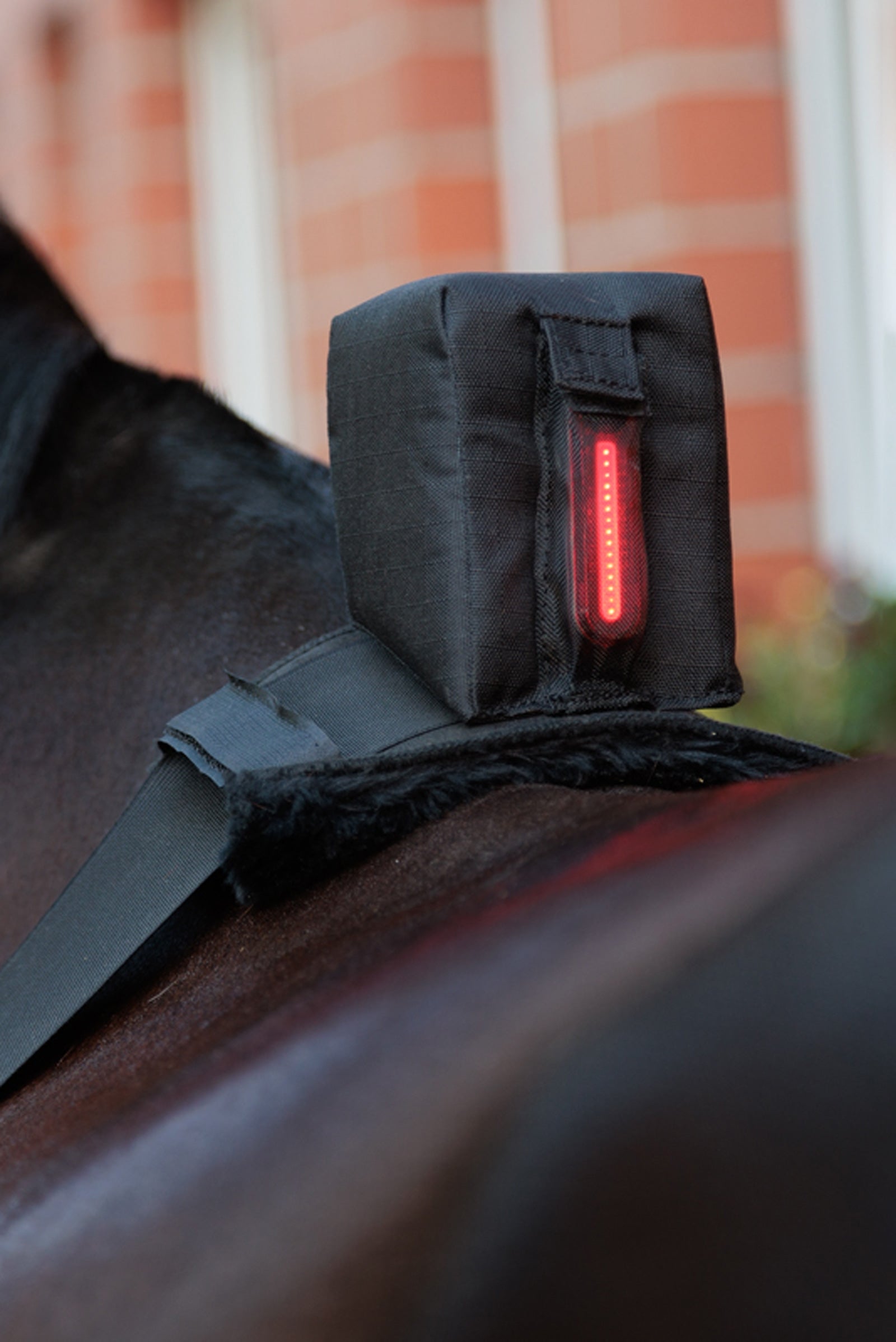 Kavalkade Horselight Belly Surcingle With Red Rear Light Reflective