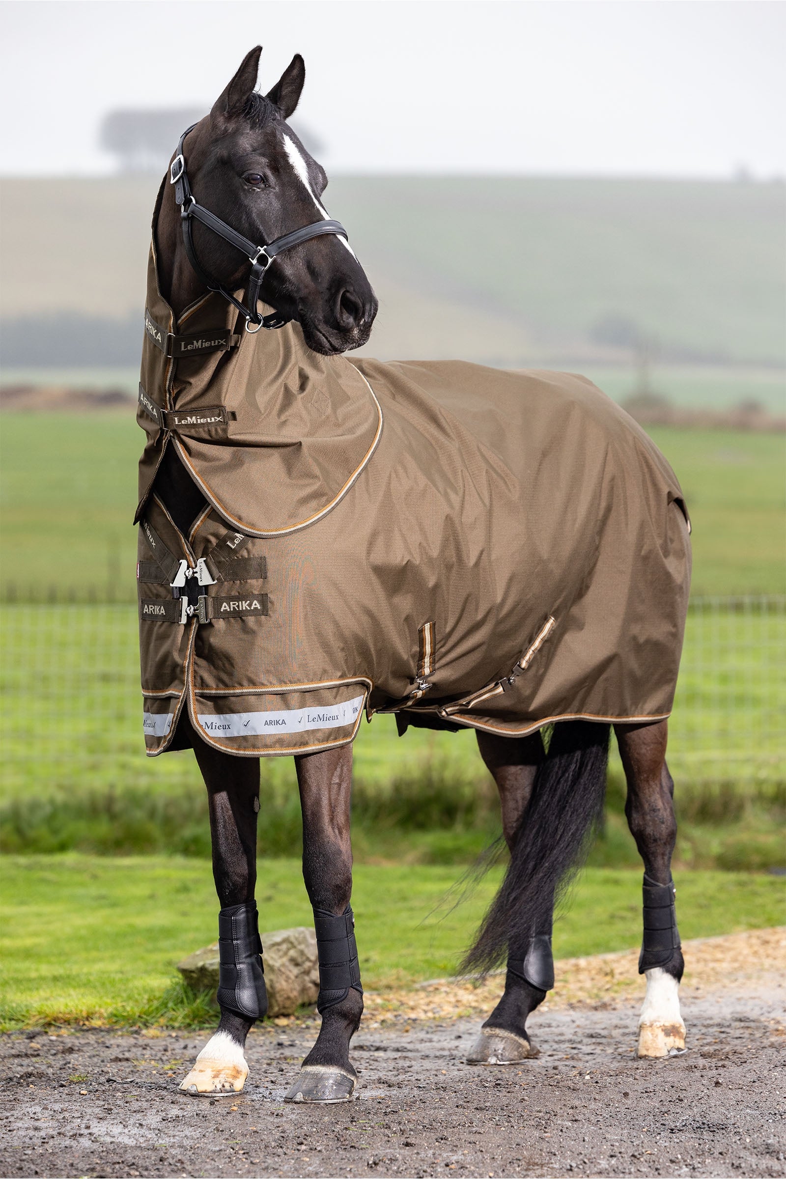 LeMieux Arika Ripstop Turnout Rug With Detachable Neck, 50g Horse Rugs