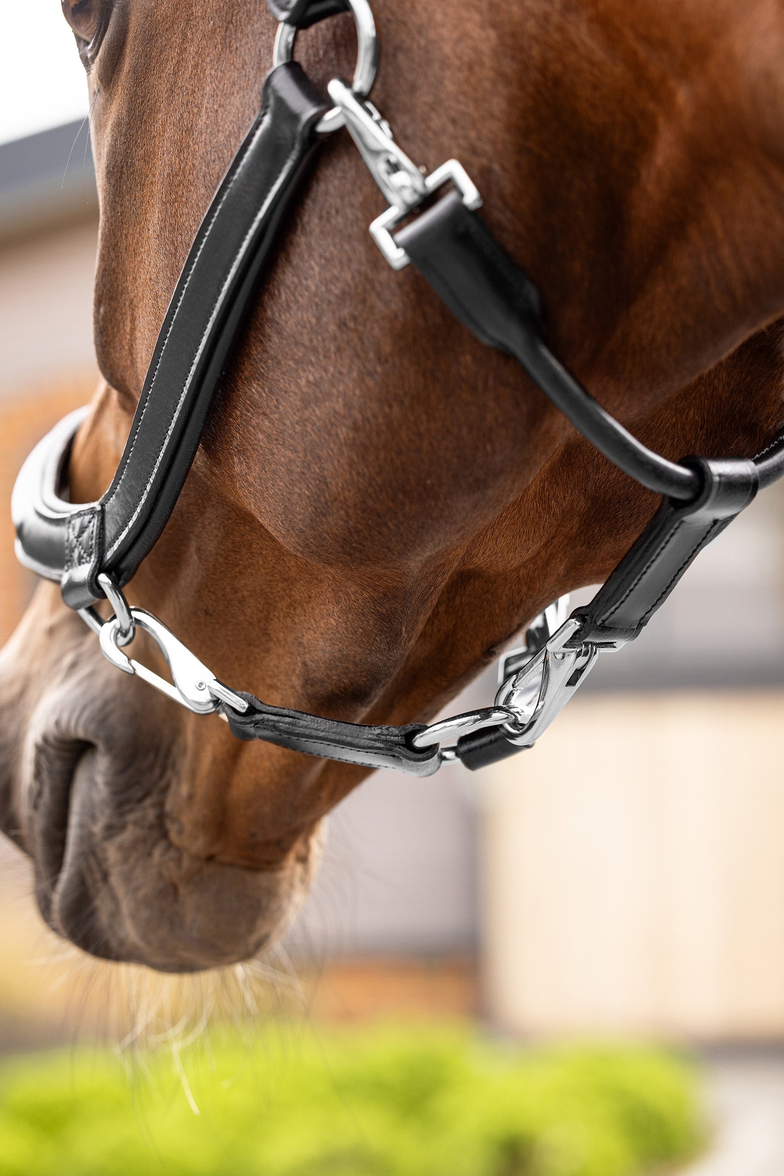 LeMieux Leather Grooming Headcollar Halters & Leads