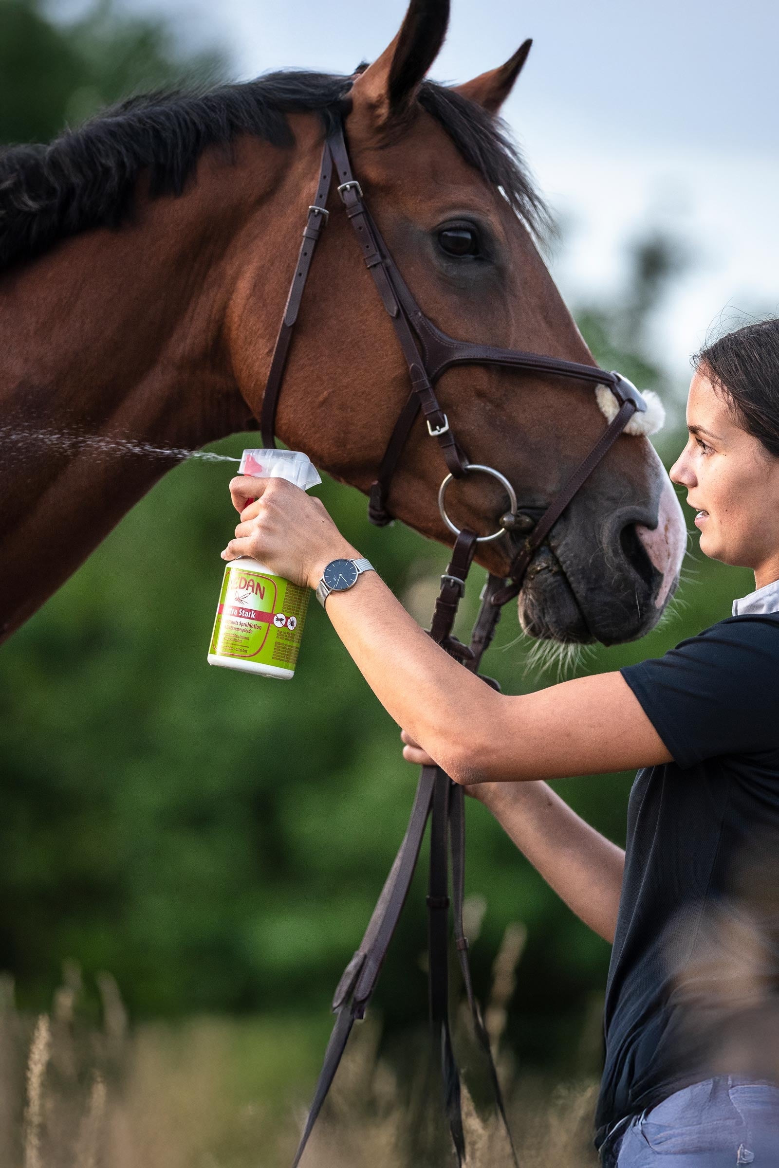 Zedan SP Extra Strong Insect Protection Spray Lotion 500ml Antifly Protection for Horses