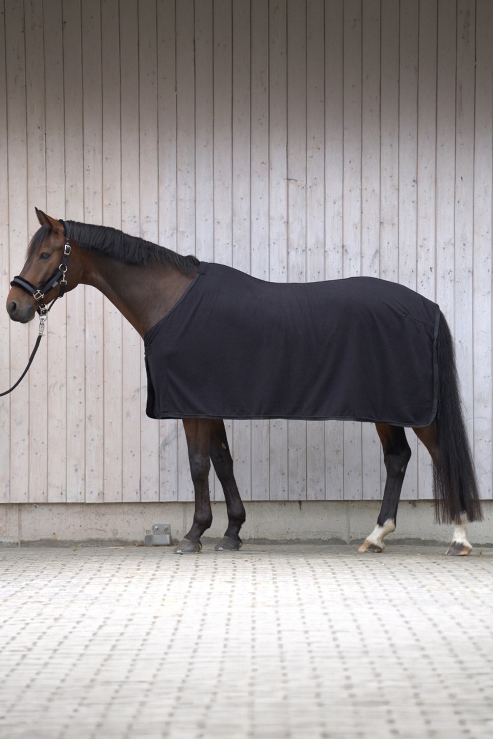 Kavalkade Noble Fleece Cooler Rug, Icelandic Horse Rugs