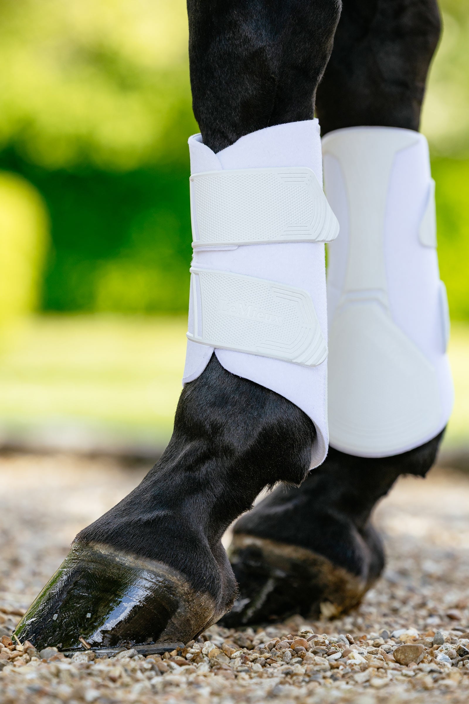 LeMieux Technical Dressurgamaschen Leg Protection & Hoof Protection for Horses