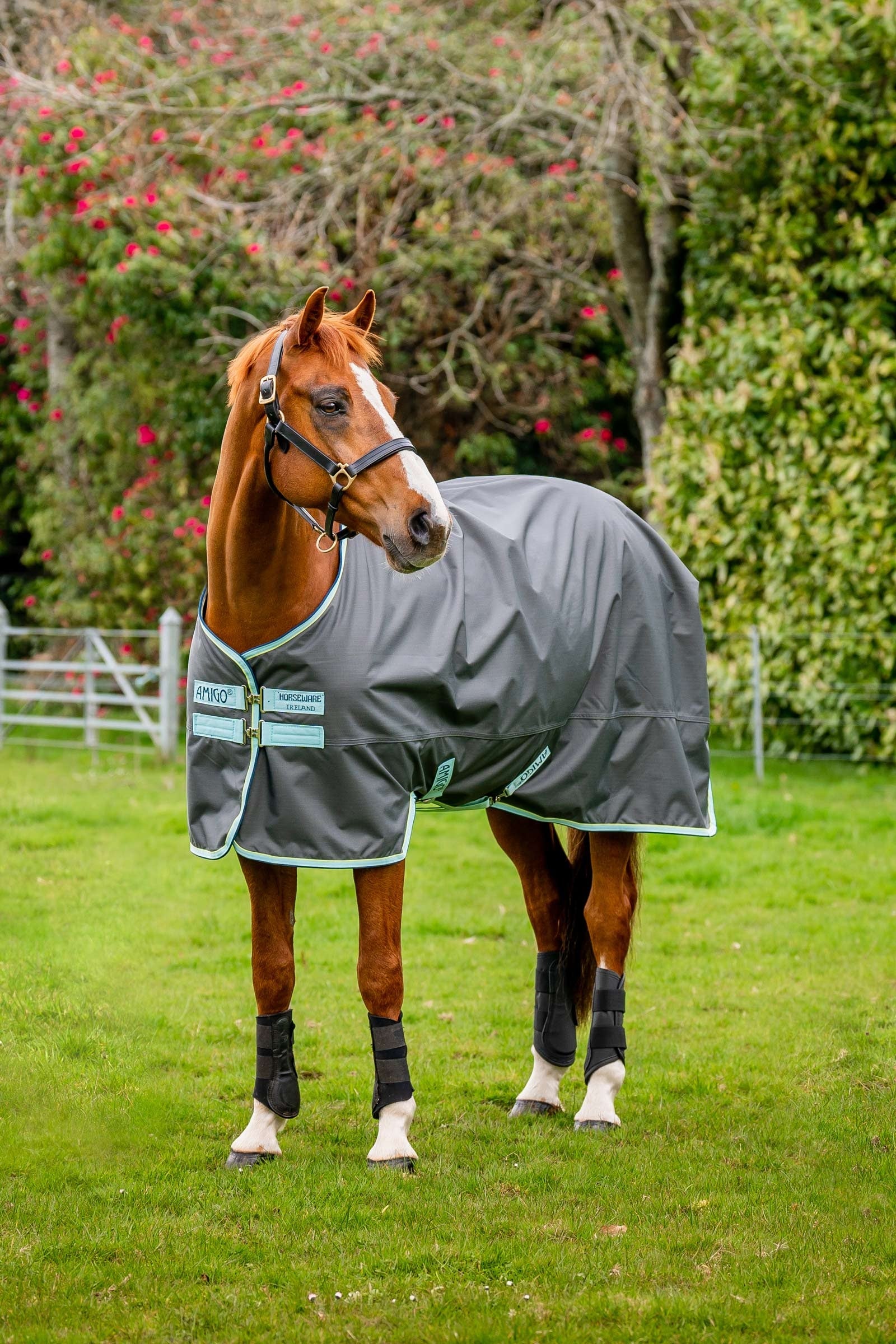 Horseware Amigo Hero Ripstop Weidedecke mit Fleecefutter, 50g Pferdedecken