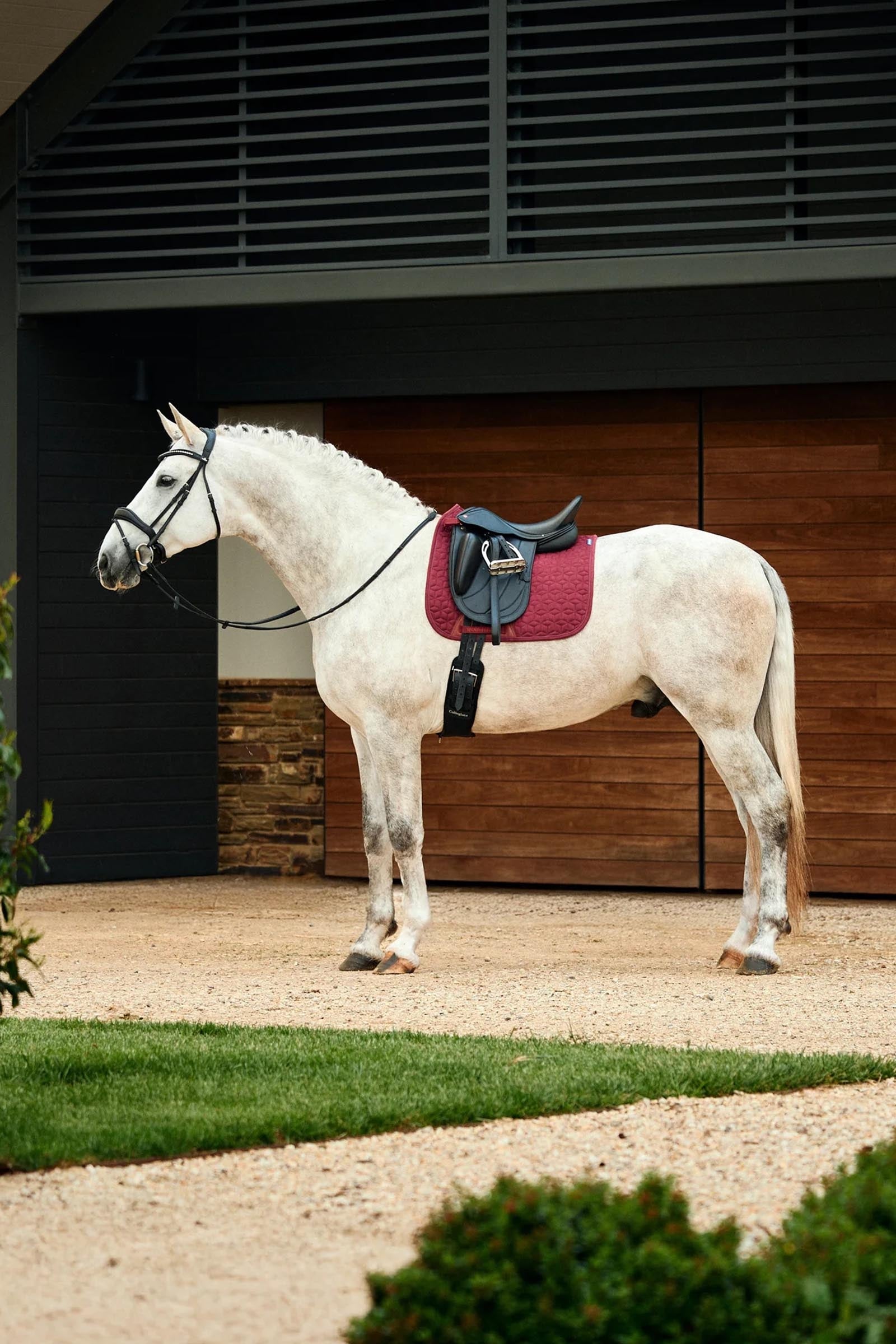 Weatherbeeta Suede Elite Air-Tec Dressage Saddle Pad Saddle Pads