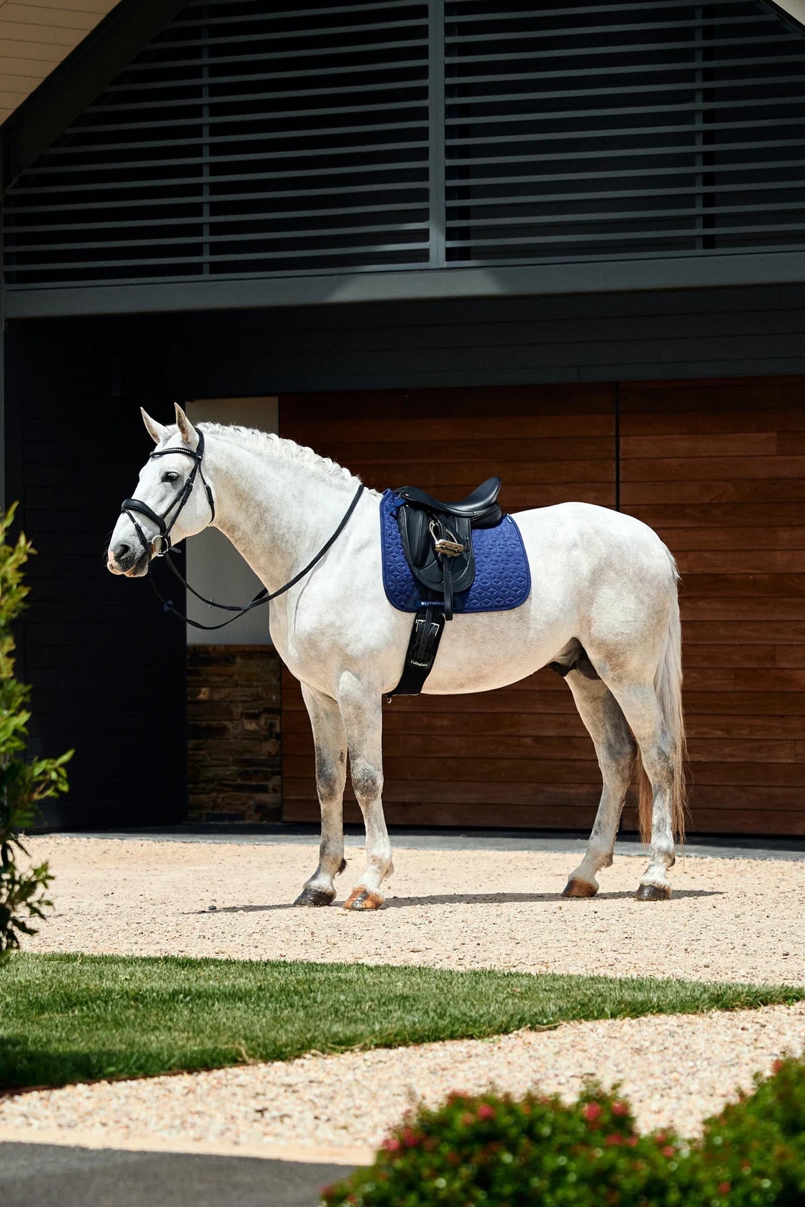 Weatherbeeta Suede Elite Air-Tec Dressage Saddle Pad Saddle Pads