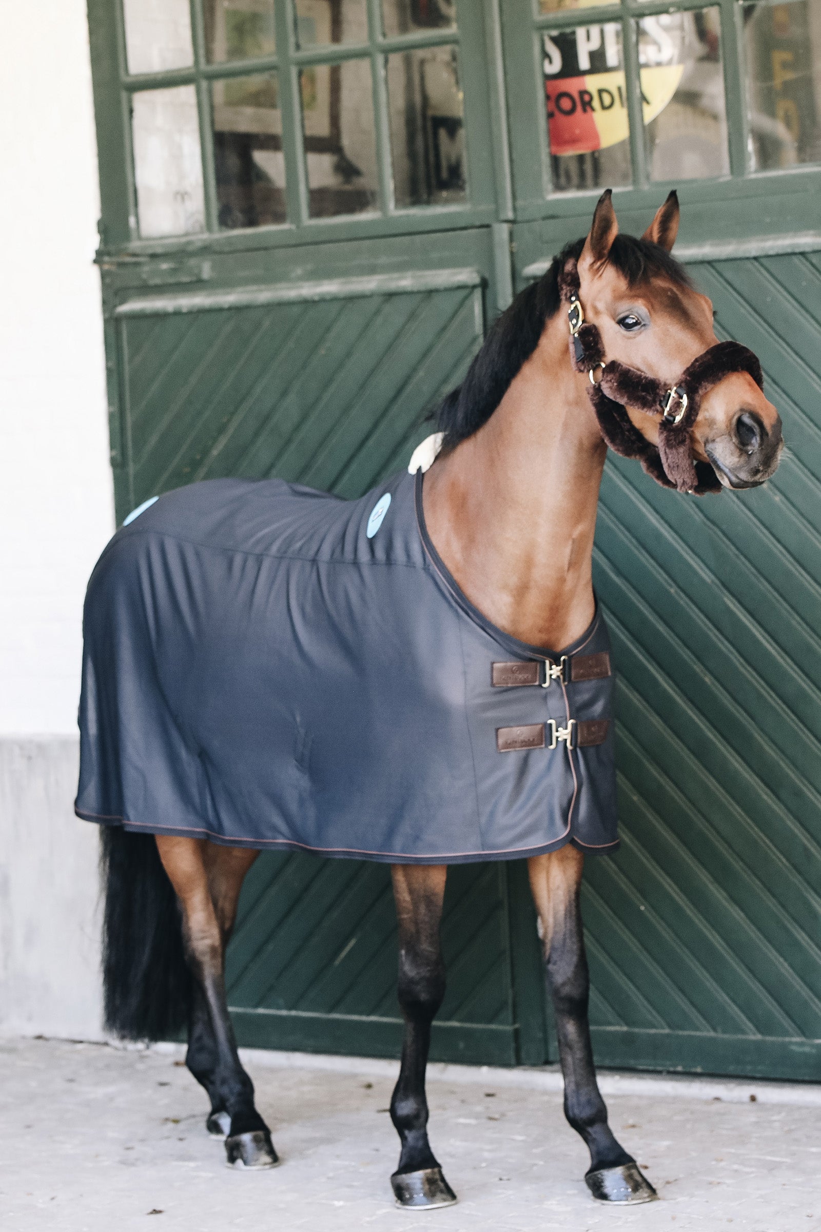 Kentucky Horsewear Magnetic Rug Recuptex Magnetfelddecke Pferdedecken