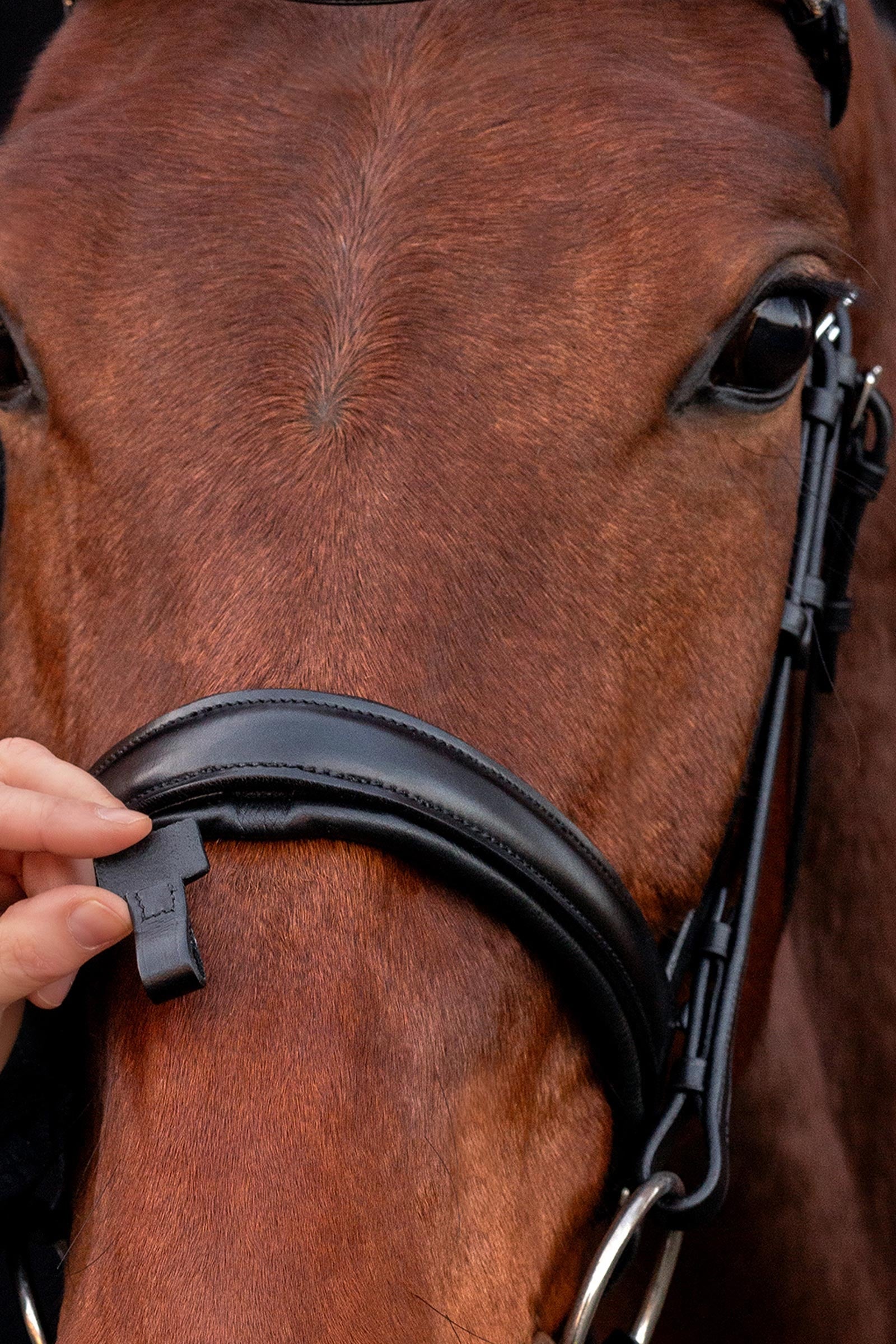 Schockemöhle Sports Malaga Bridle Bridles & Reins