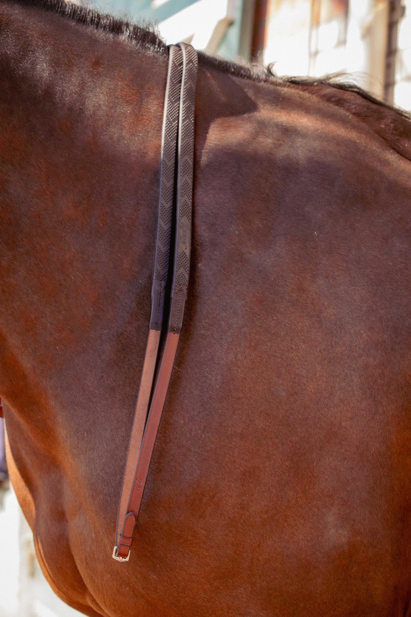 PENELOPE US Rubber Reins Bridles & Reins