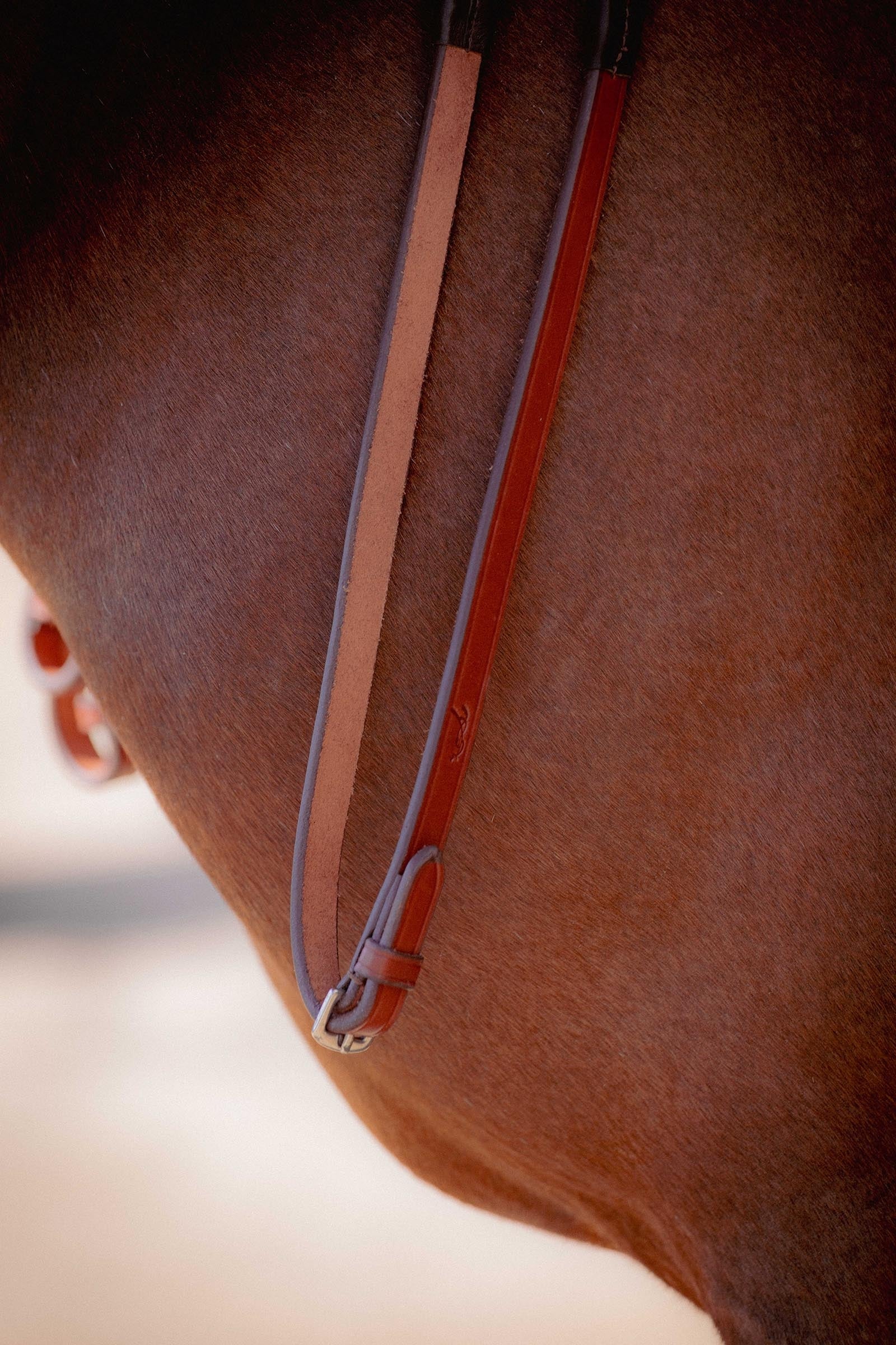 PENELOPE US Rubber Reins Bridles & Reins