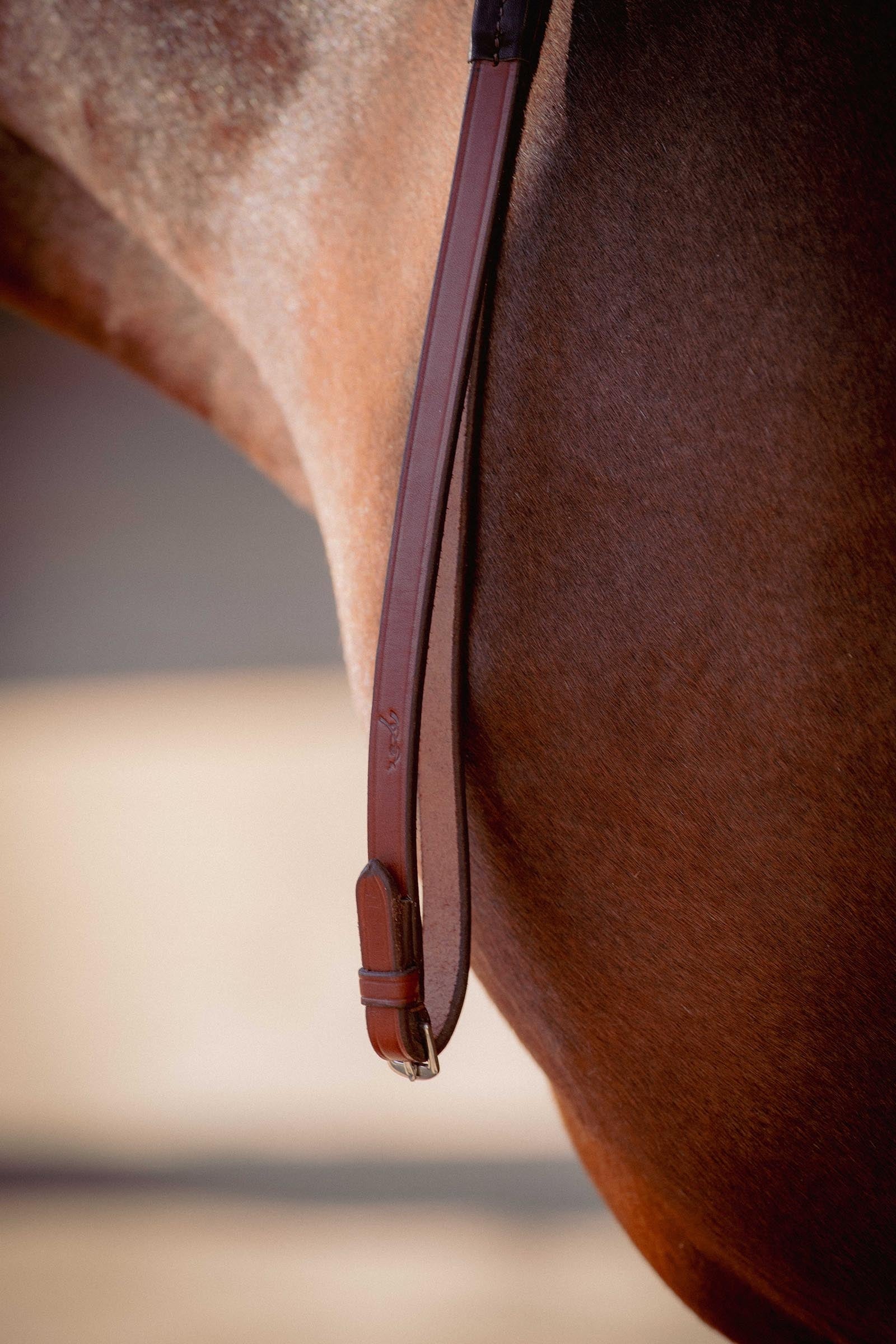 PENELOPE US Rubber Reins Bridles & Reins