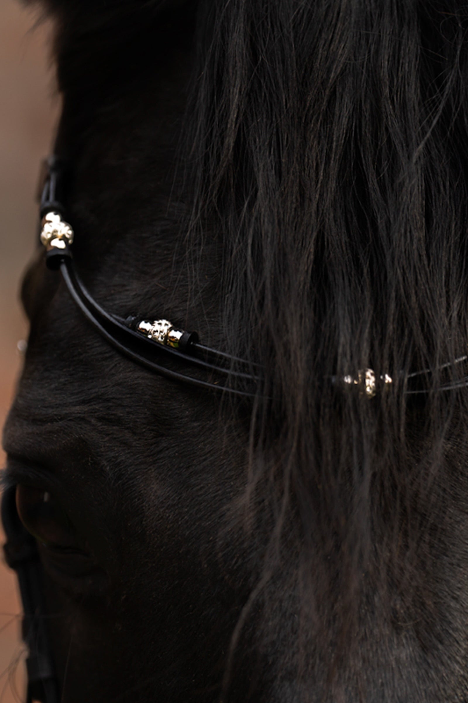 Kavalkade Grace Browband Bridles & Reins