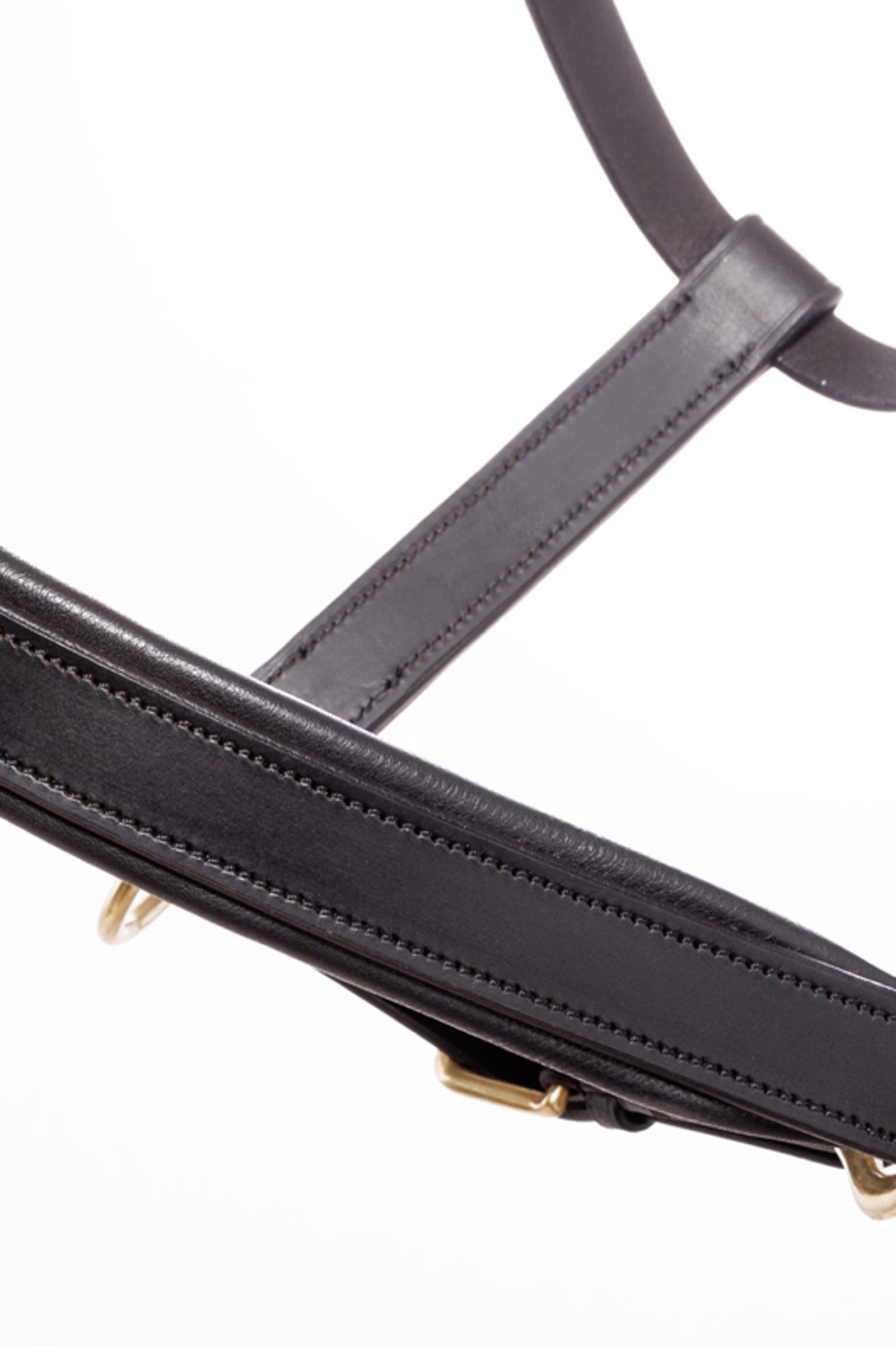 Kavalkade Leather halter Cinta Halters & Leads
