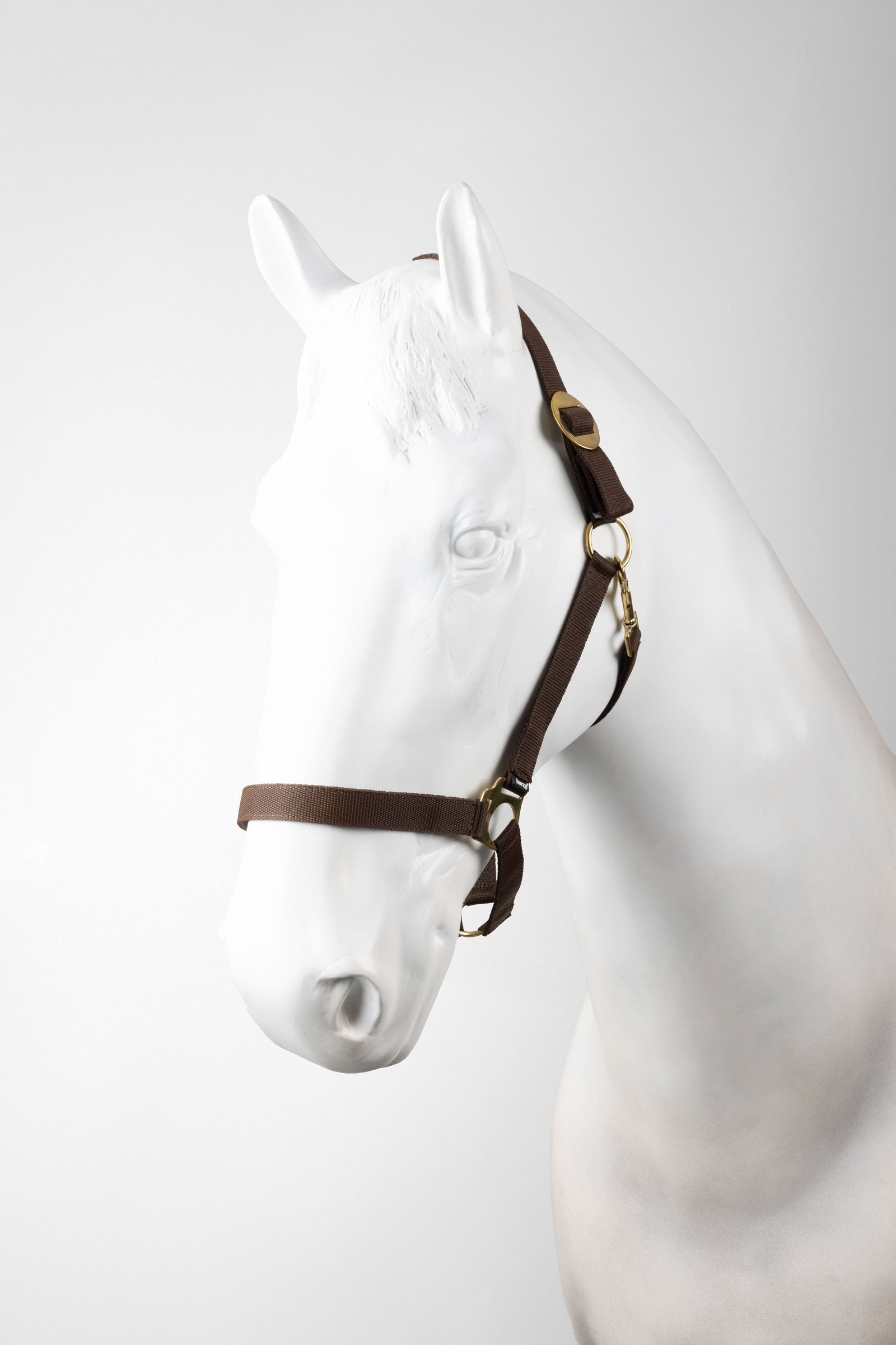 Horze Halfter & Führstrick Set (3 Teile) Halfter & Stricke