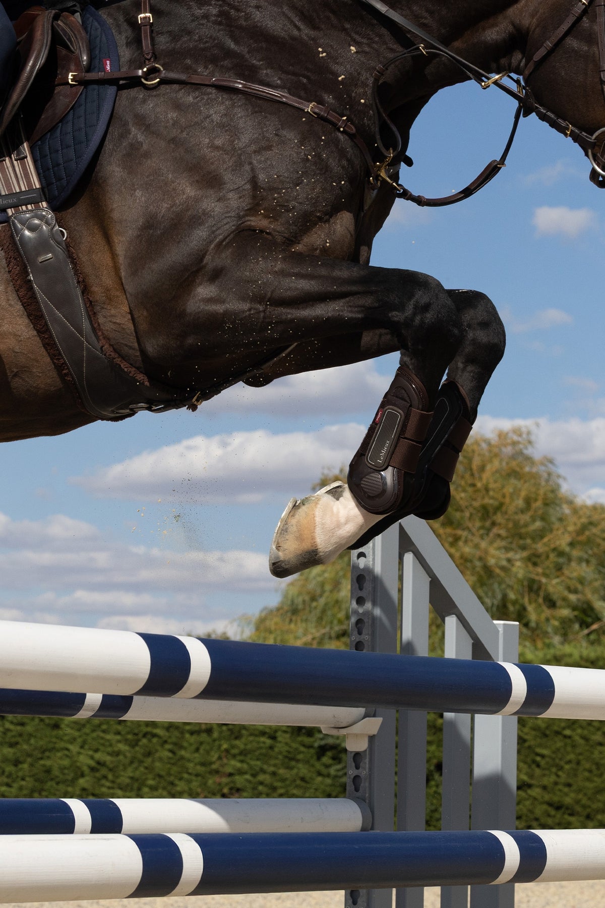 LeMieux Lemieux Derby Shield Tendon Boot Leg & Hoof Protection