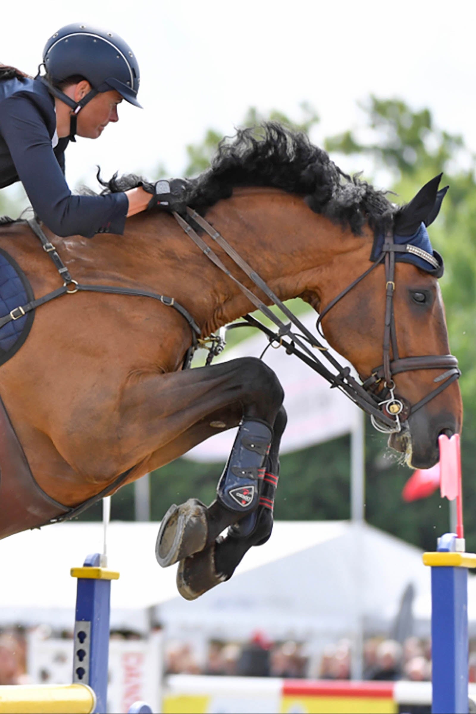 Catago FIR-Tech Tendon Boots Leg Protection & Hoof Protection for Horses