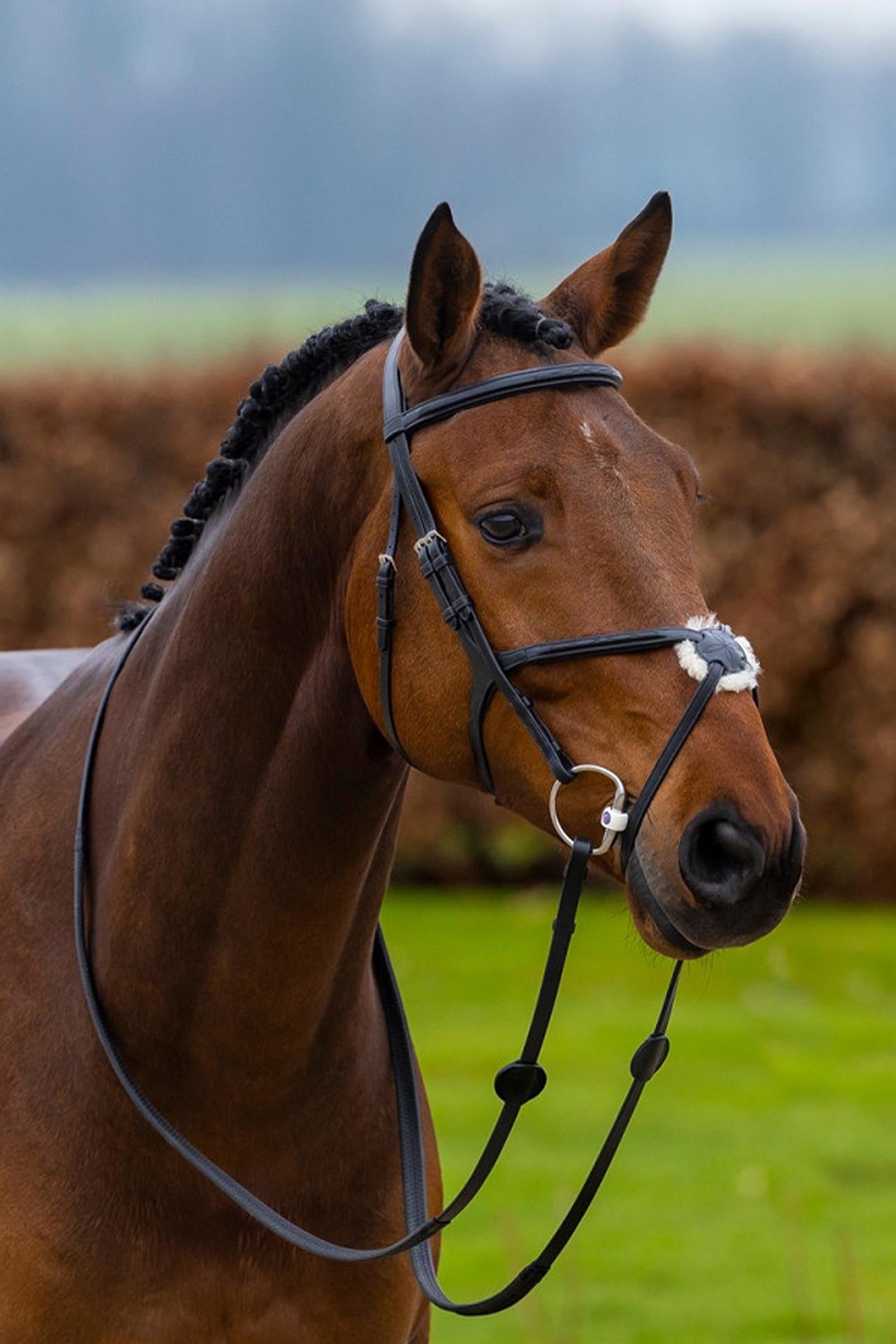 Trust Equestrian Oslo Mexican Noseband Bridle Bridles & Reins